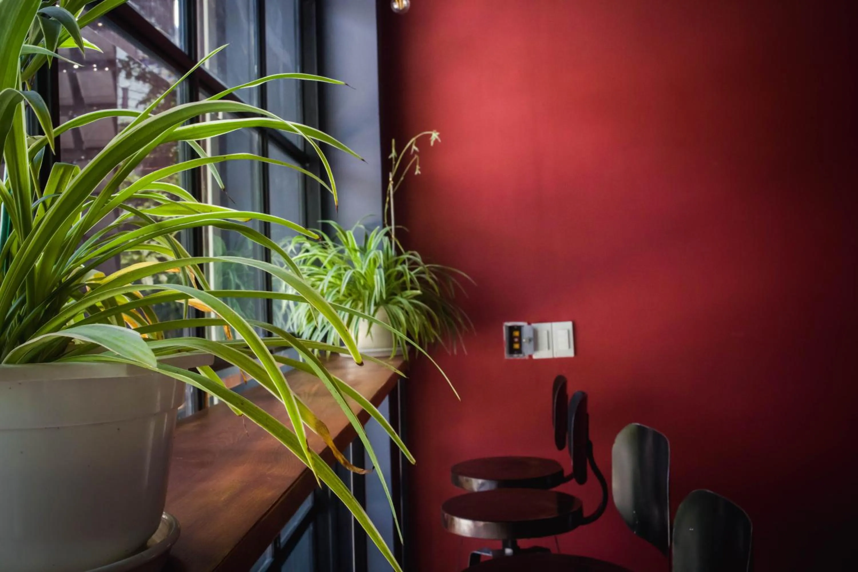 Floor plan in Kon-Tiki DaNang Hostel