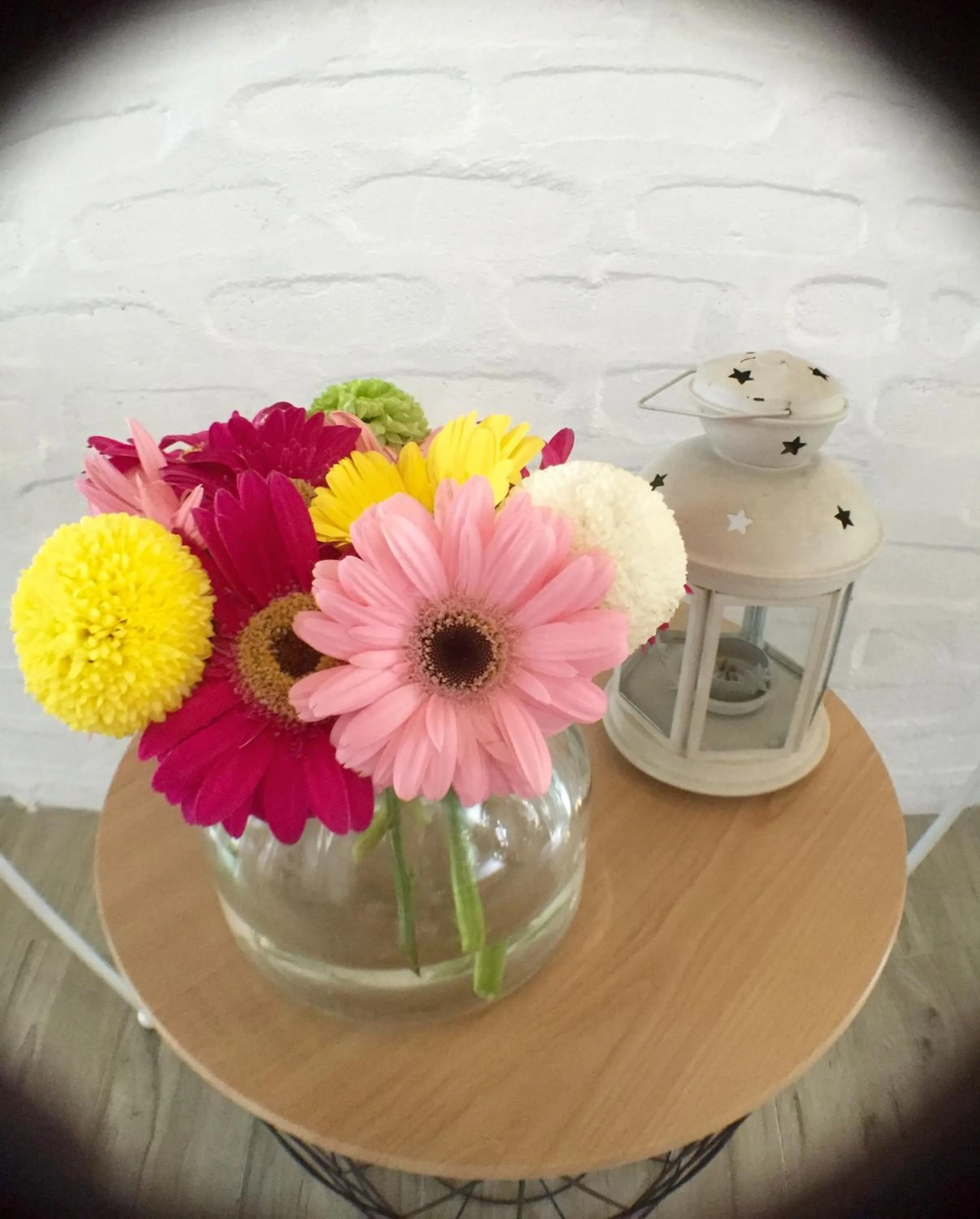 Living room in Hotel Flora Plus