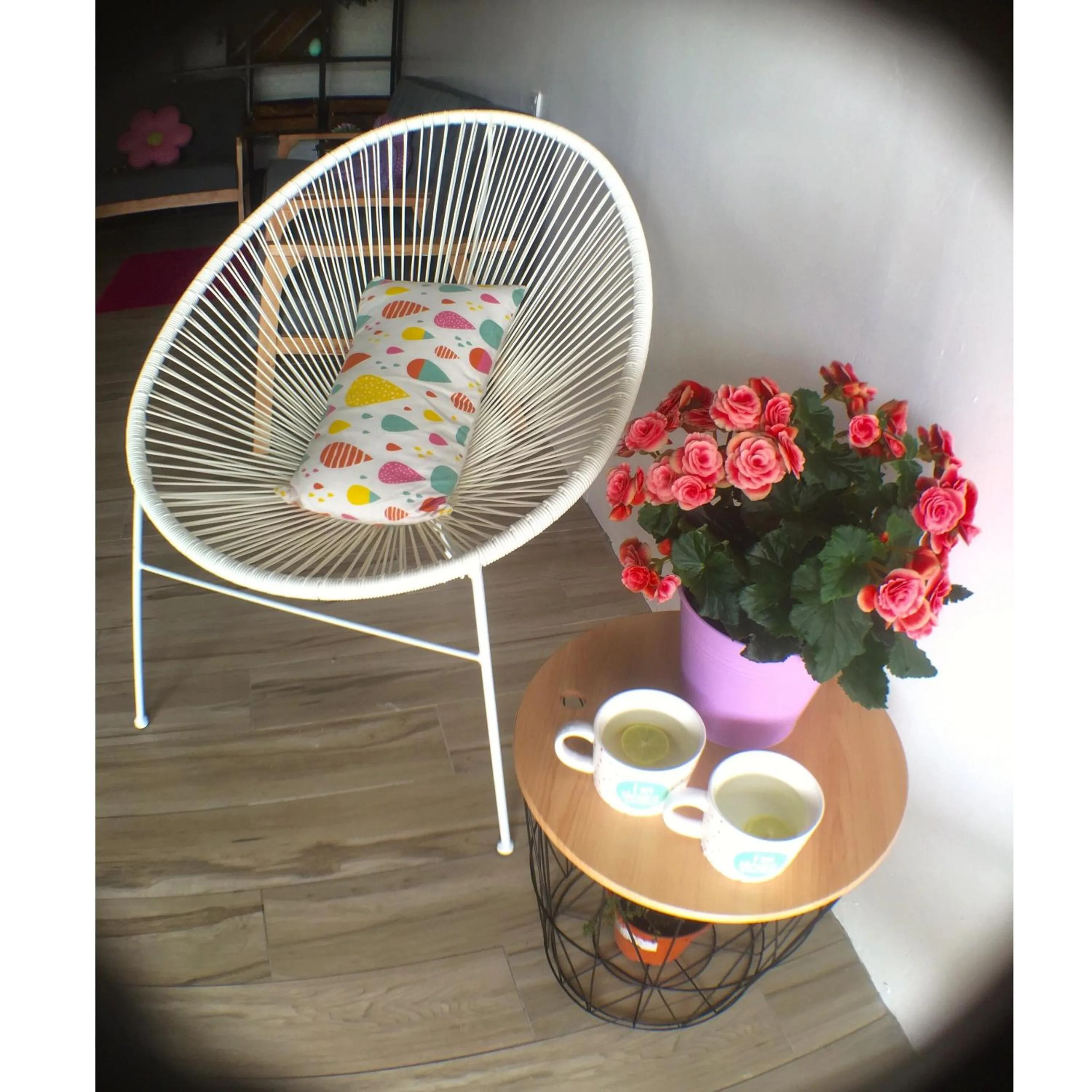 Decorative detail in Hotel Flora Plus