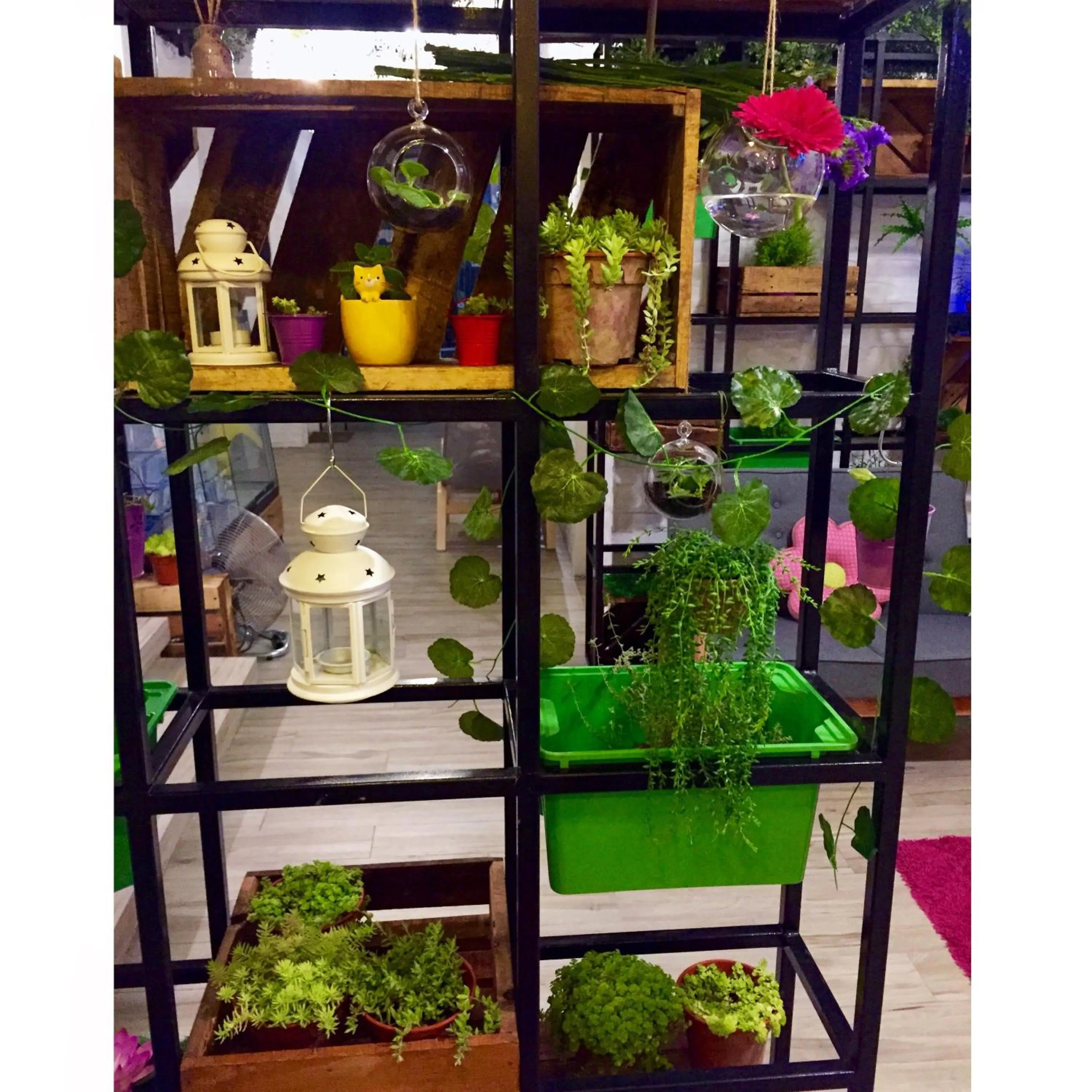 Communal lounge/ TV room in Hotel Flora Plus