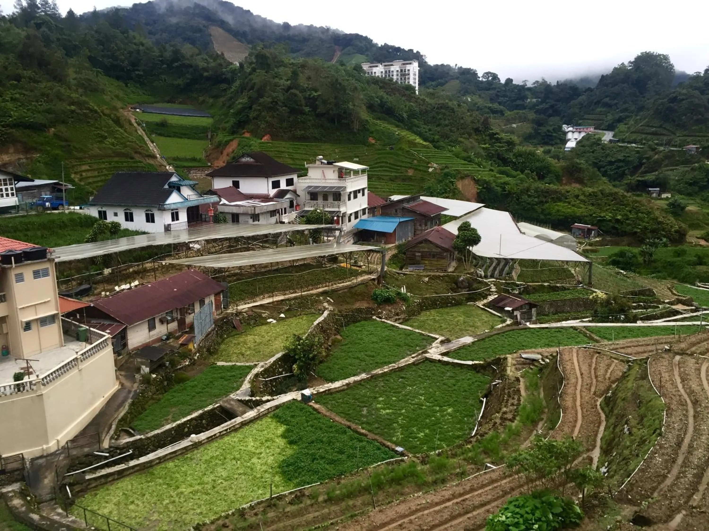 Off site in Hotel Flora Plus