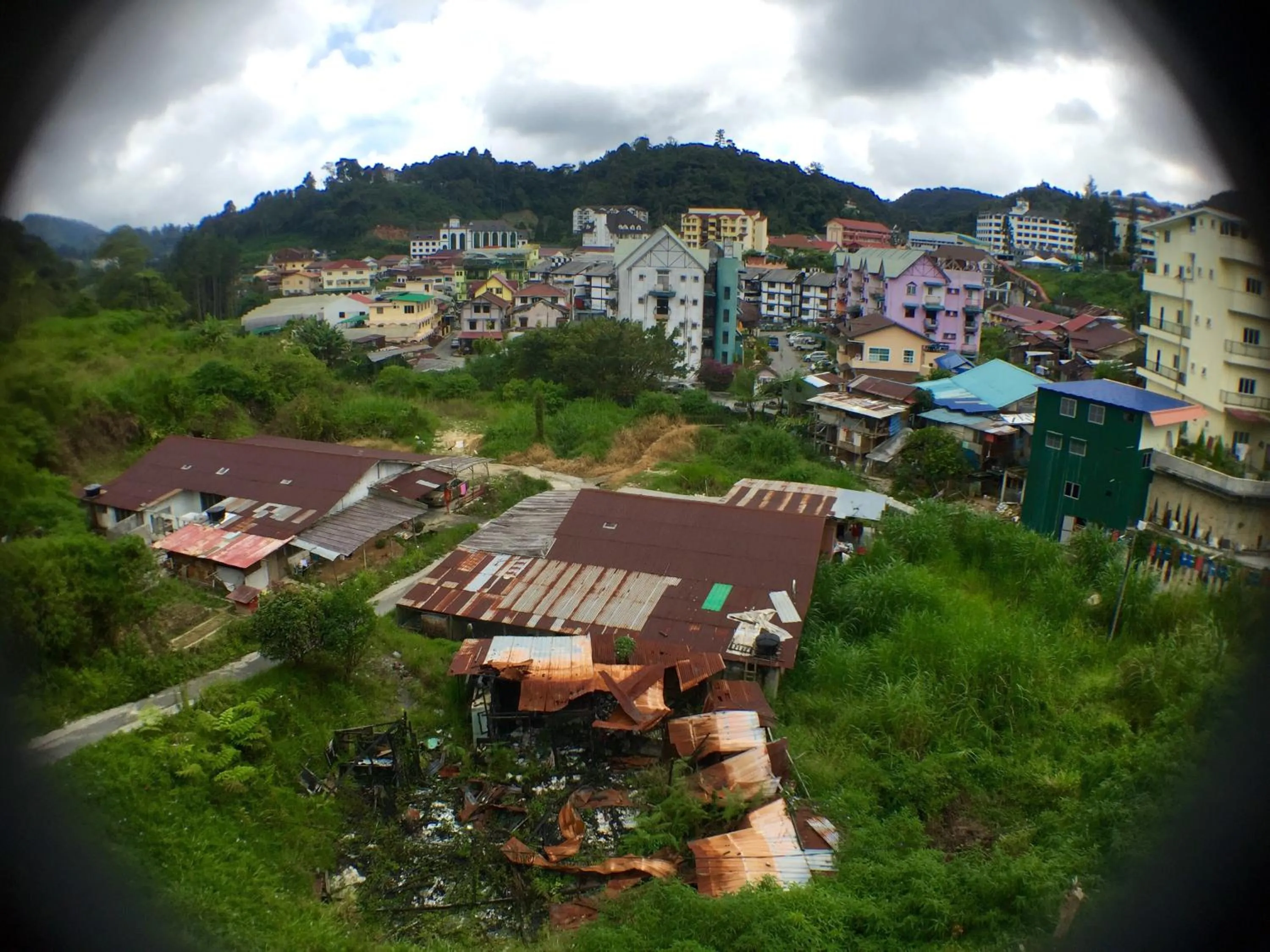 Area and facilities in Hotel Flora Plus