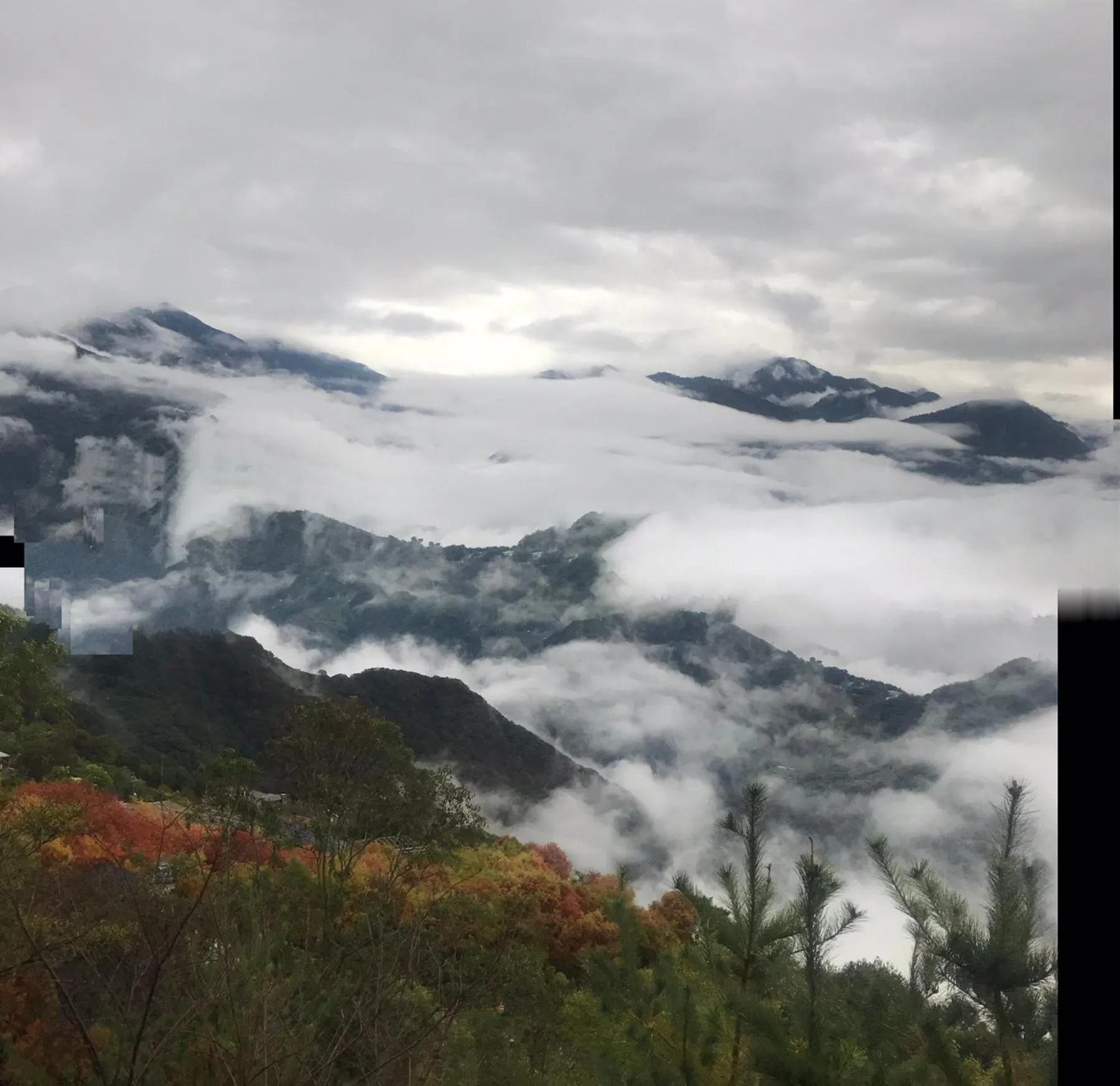 Natural landscape in Sunnydale B&B