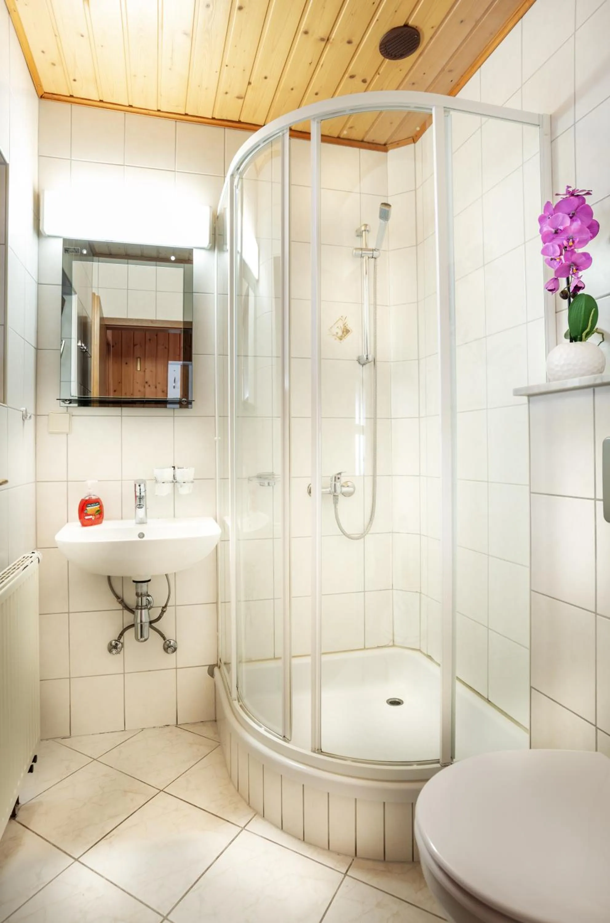 Shower in Pension Am Weinberg Sächsische Schweiz