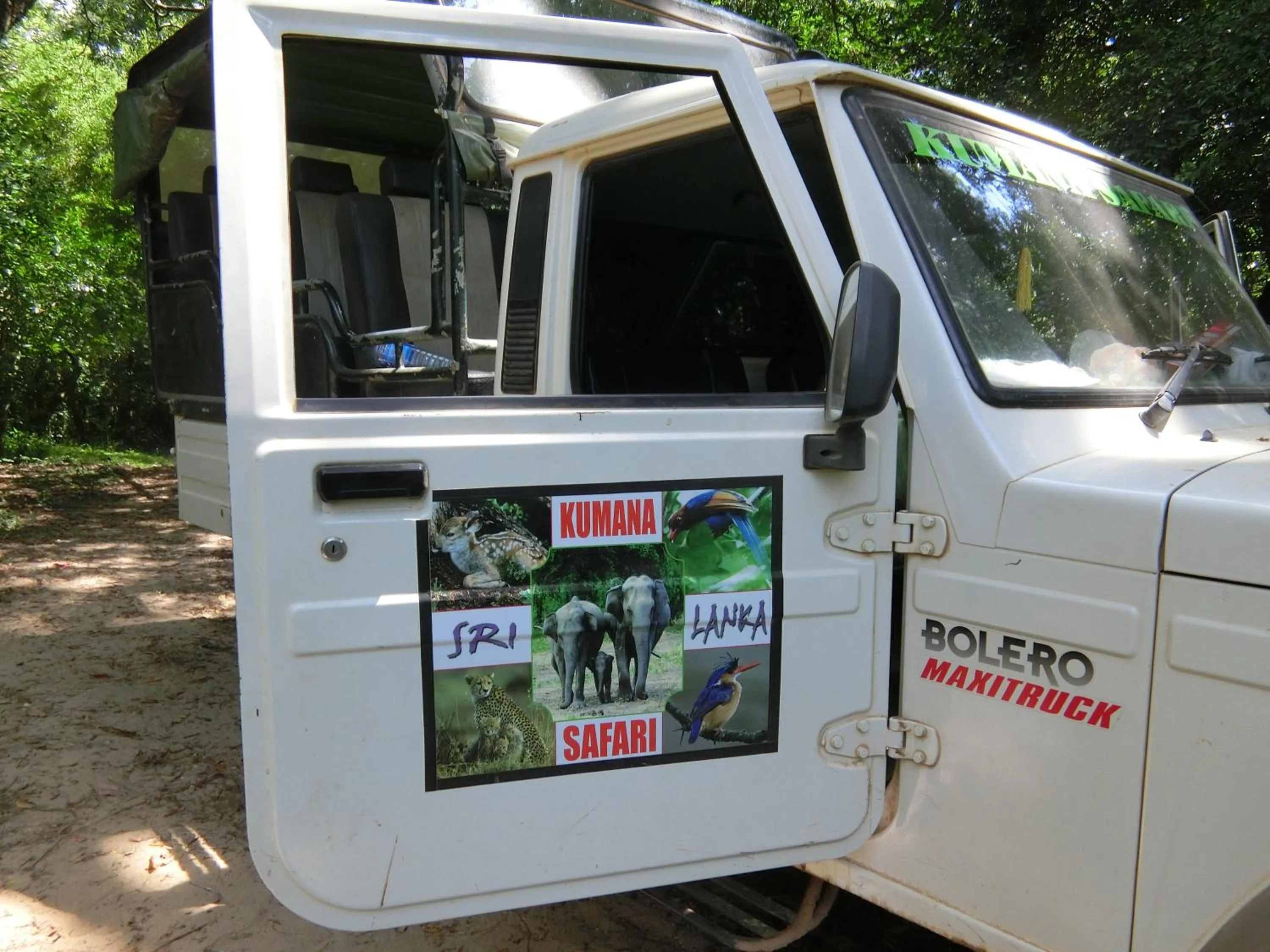 Entertainment in The Tasty Tuna Cabana