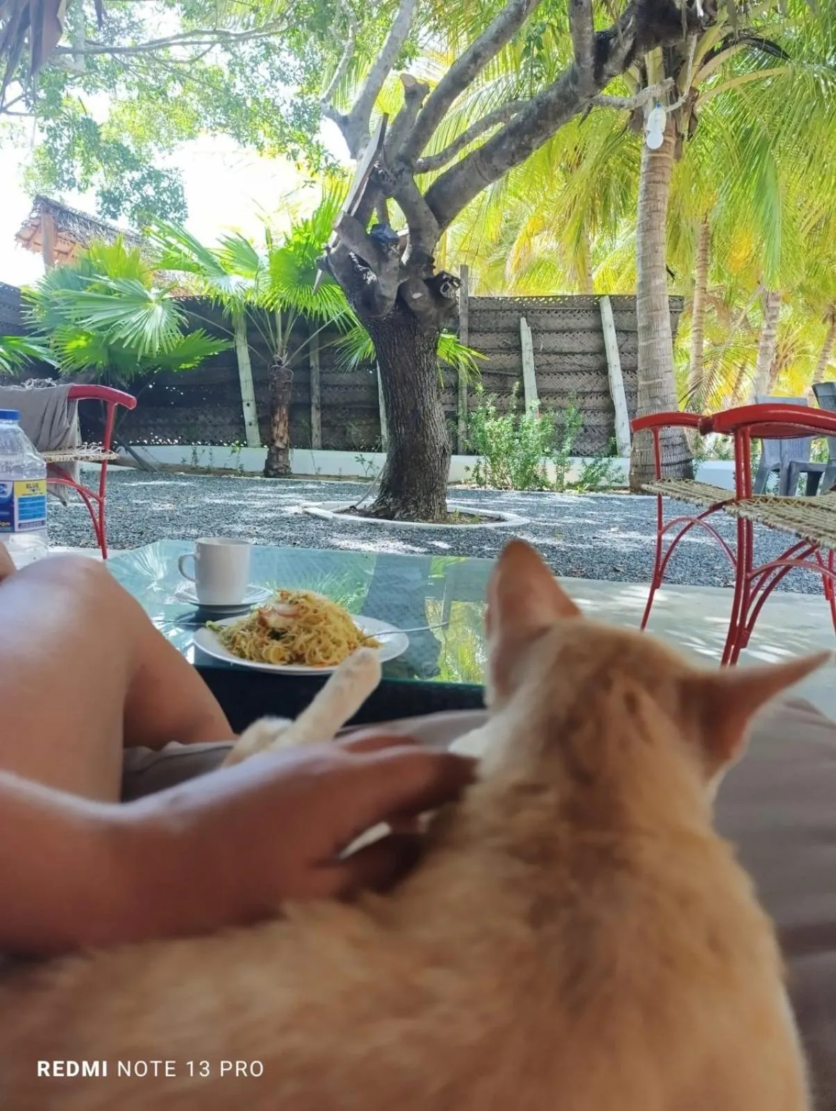 The Tasty Tuna Cabana