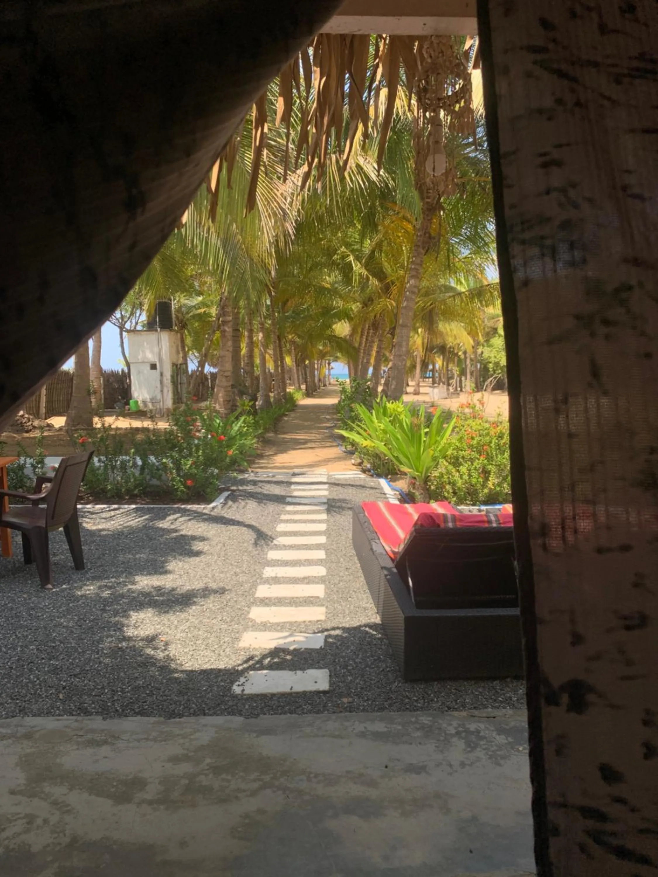 The Tasty Tuna Cabana