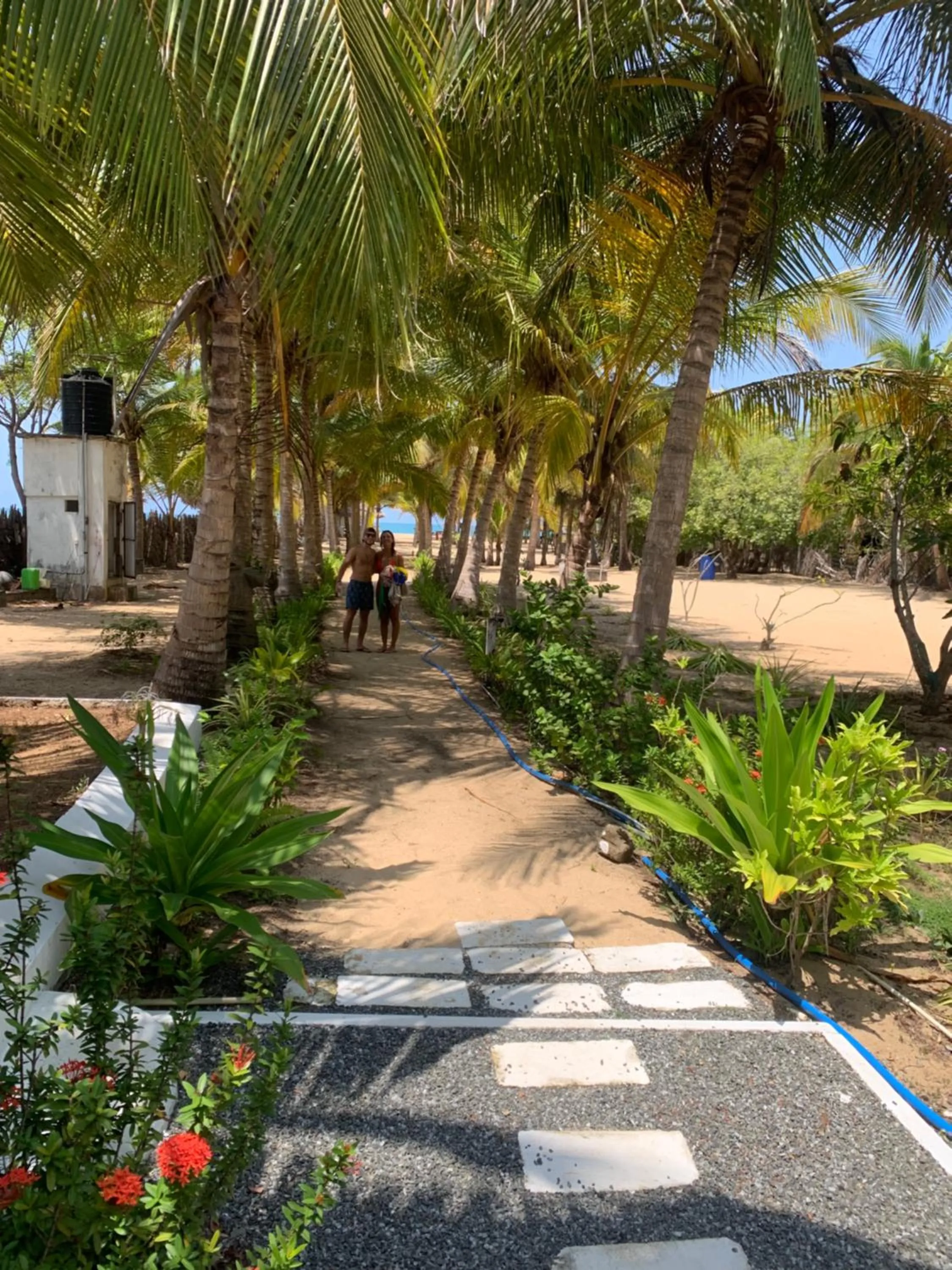 The Tasty Tuna Cabana