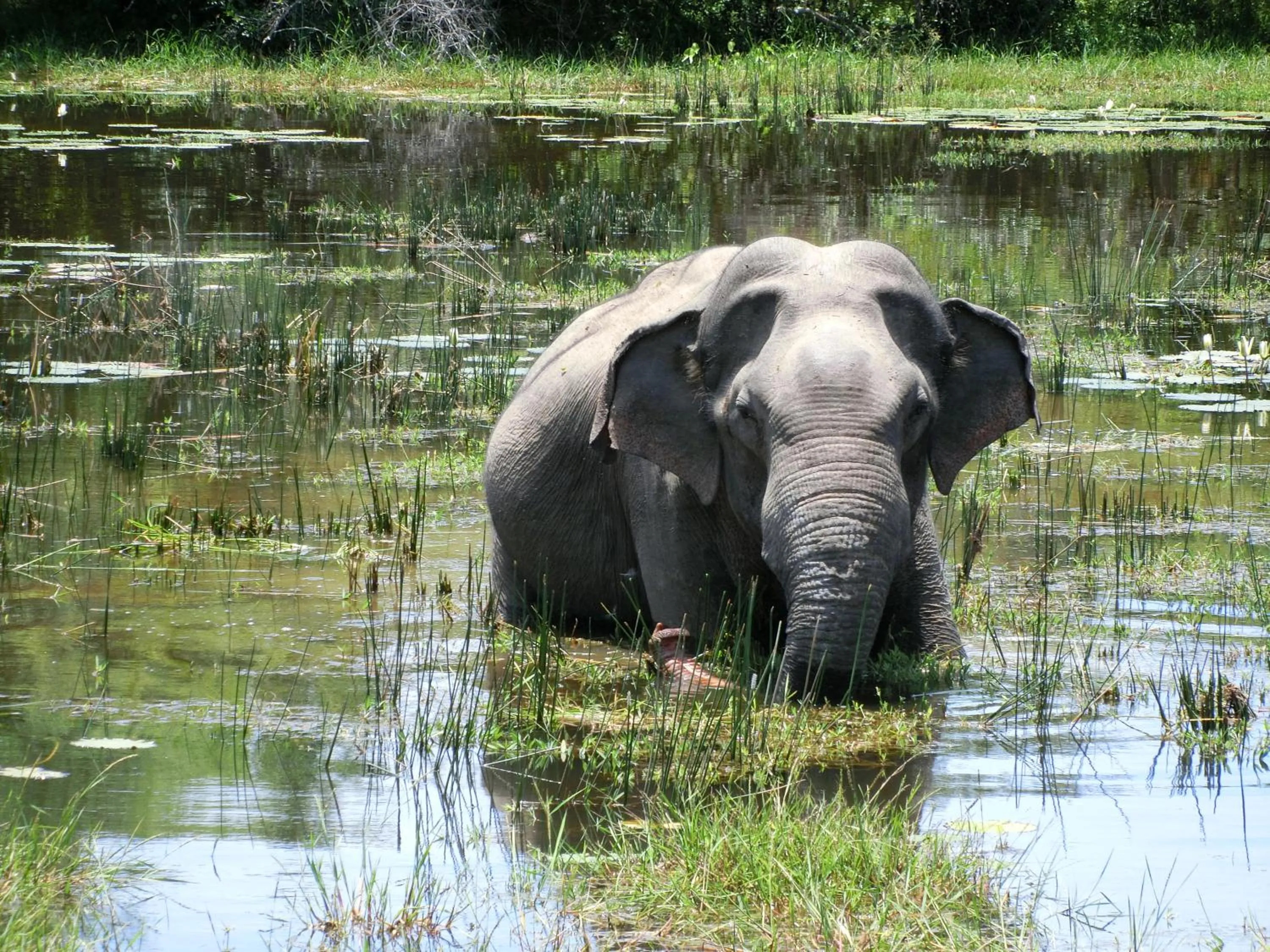 Natural landscape in The Tasty Tuna Cabana