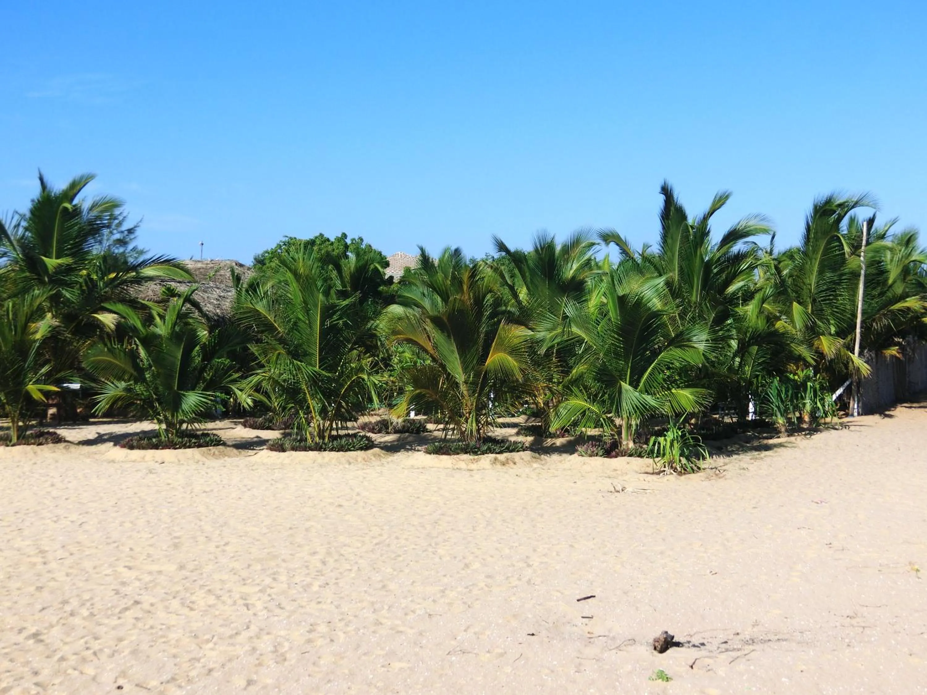 Natural landscape in The Tasty Tuna Cabana