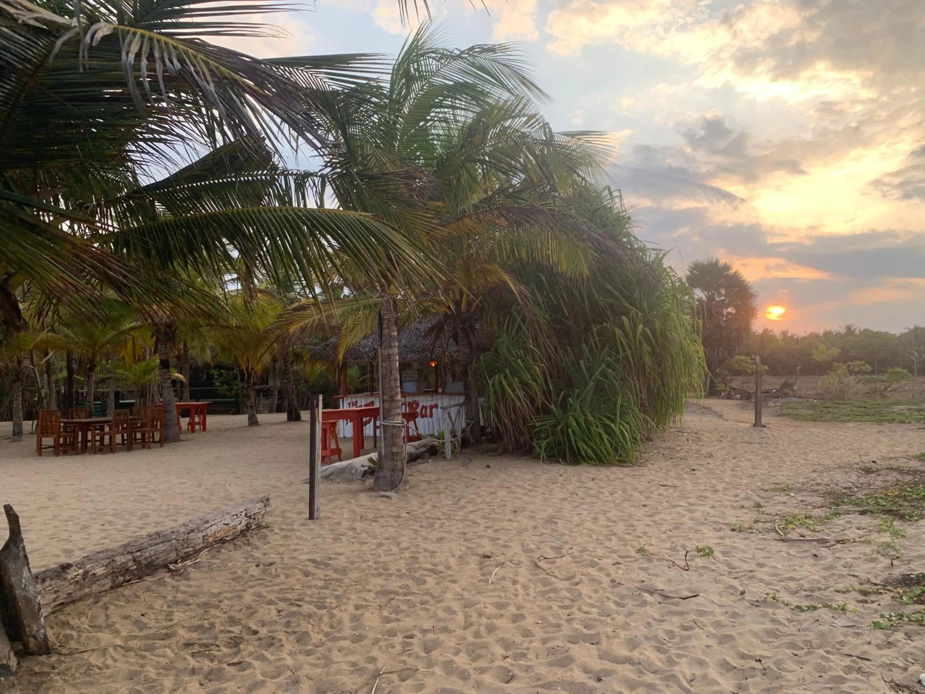 The Tasty Tuna Cabana