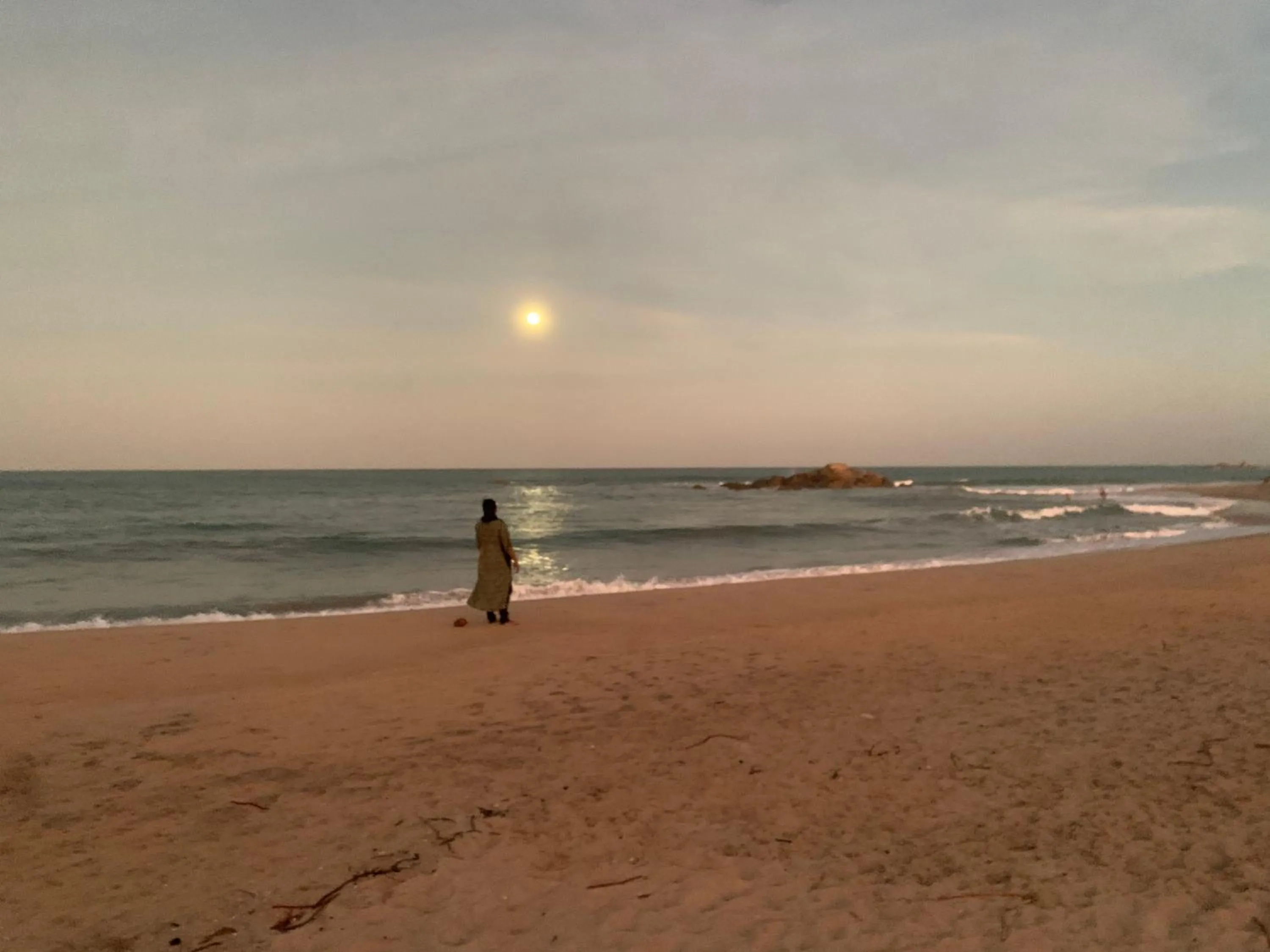 The Tasty Tuna Cabana