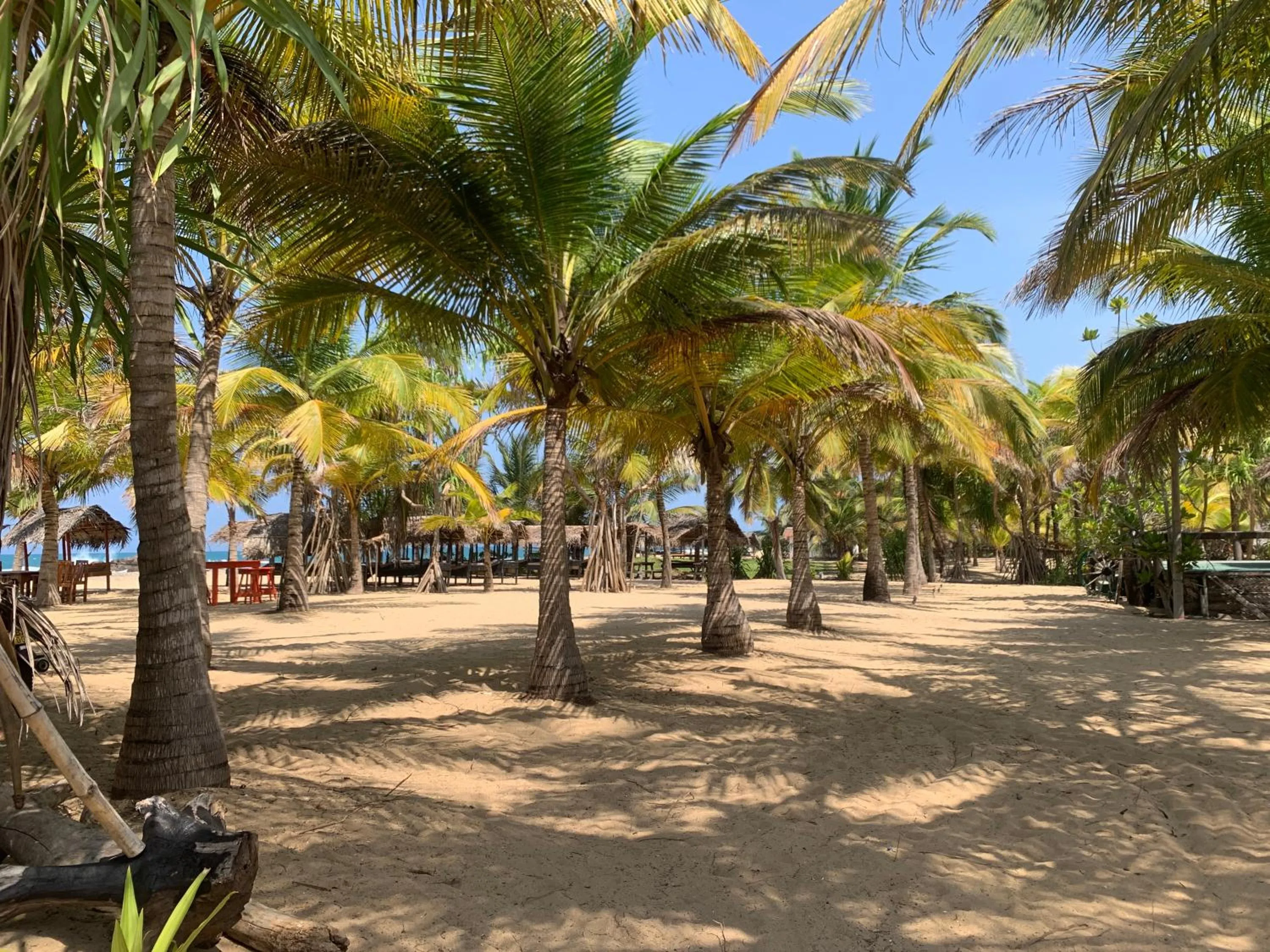 The Tasty Tuna Cabana