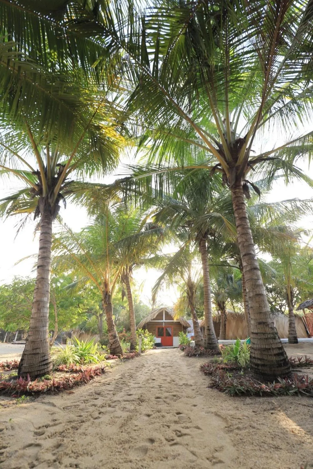 The Tasty Tuna Cabana