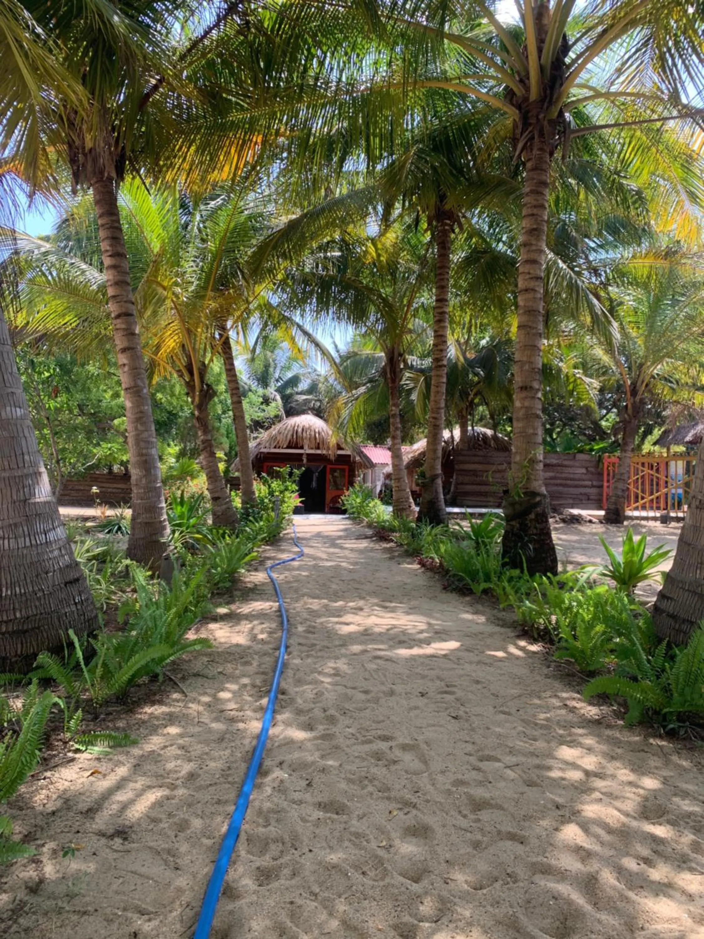 The Tasty Tuna Cabana