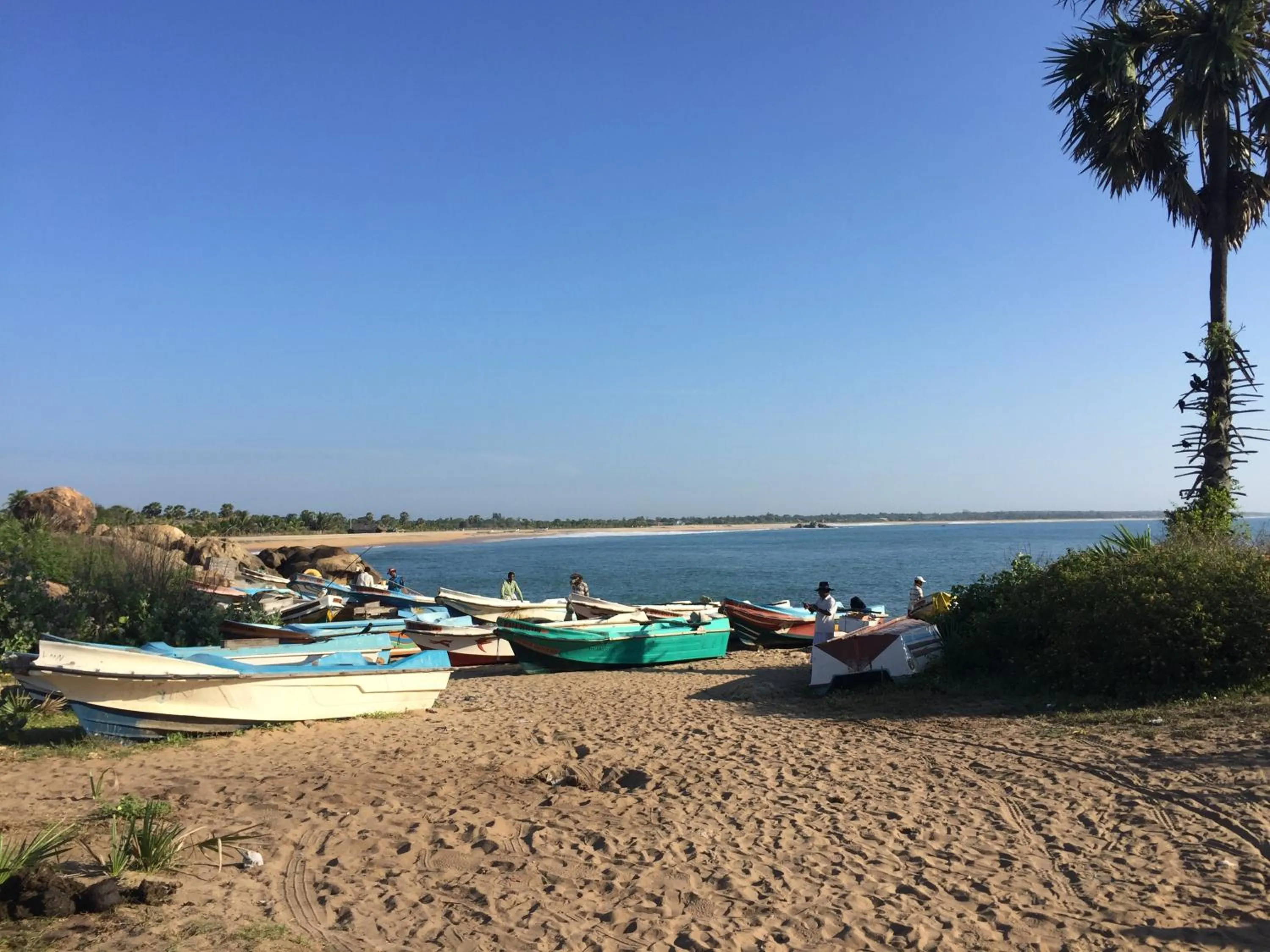 Beach in The Tasty Tuna Cabana
