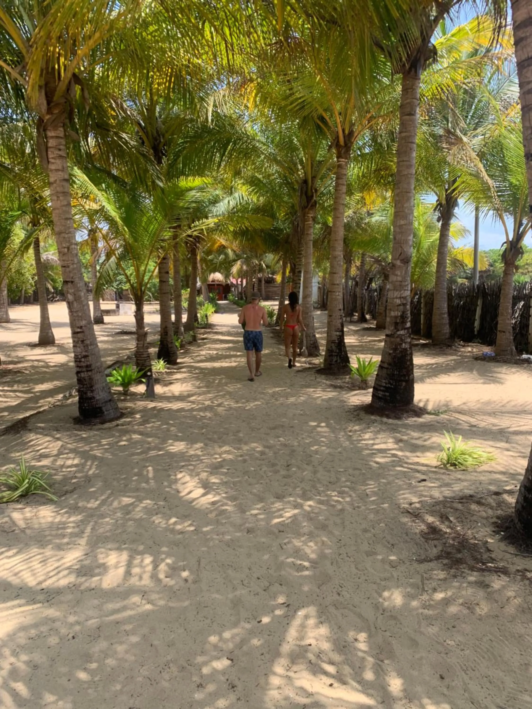 The Tasty Tuna Cabana