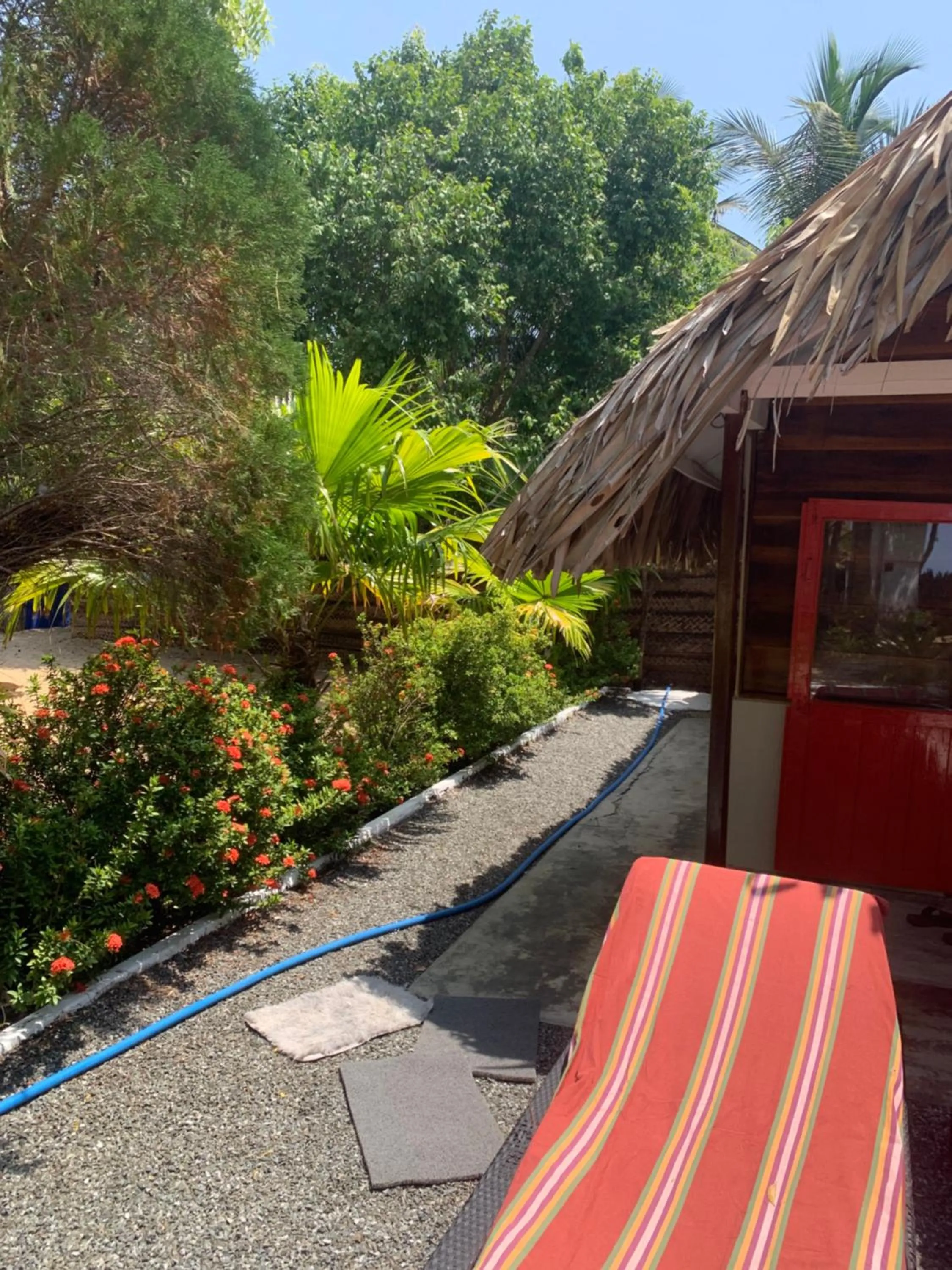 The Tasty Tuna Cabana