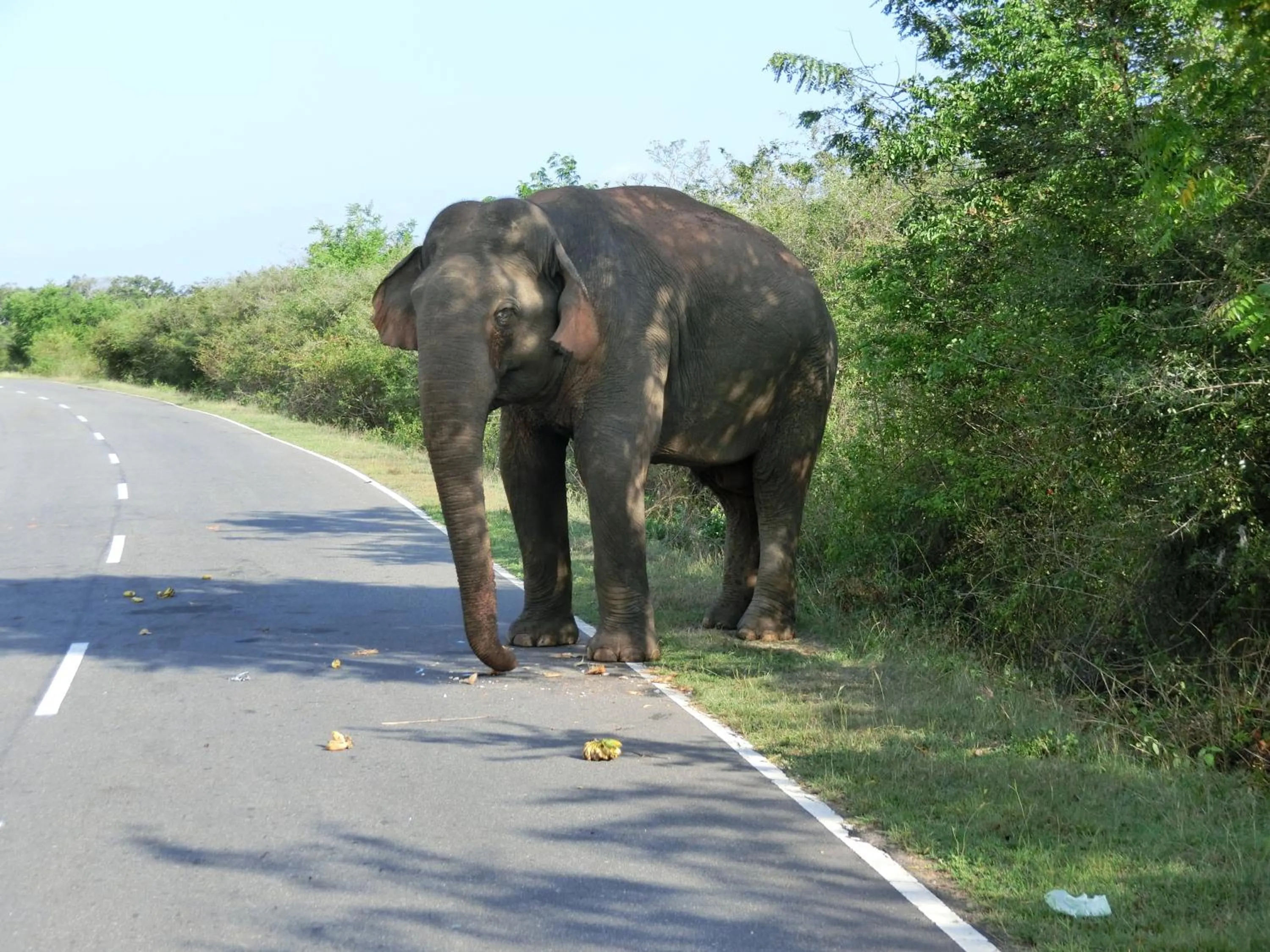 Family in The Tasty Tuna Cabana