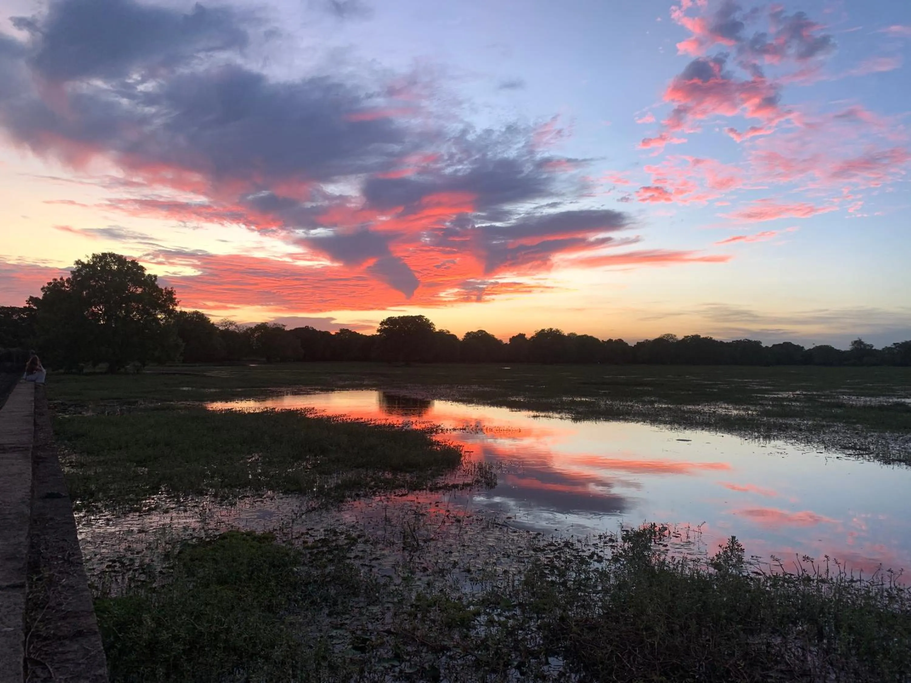 The Tasty Tuna Cabana