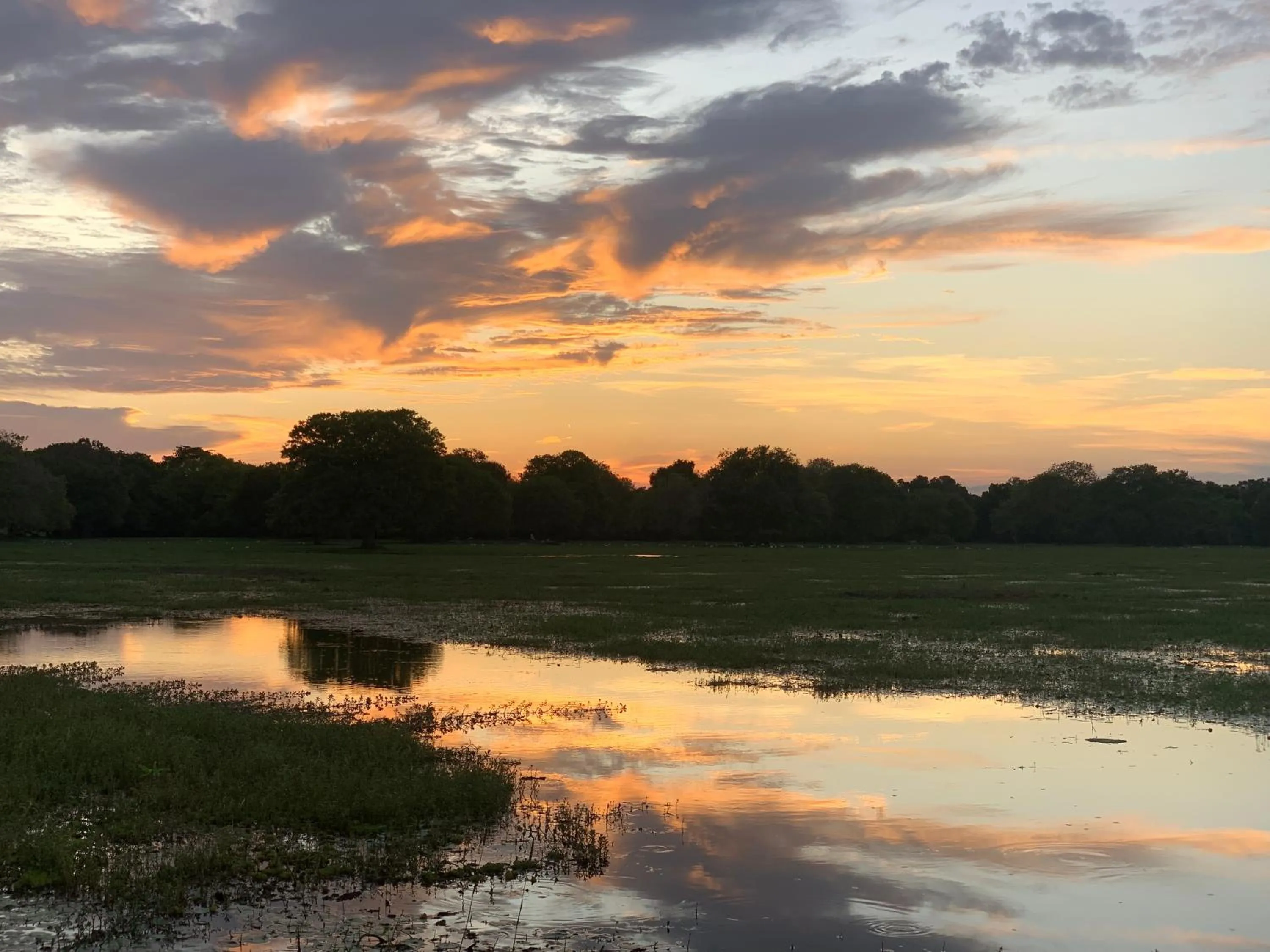 The Tasty Tuna Cabana