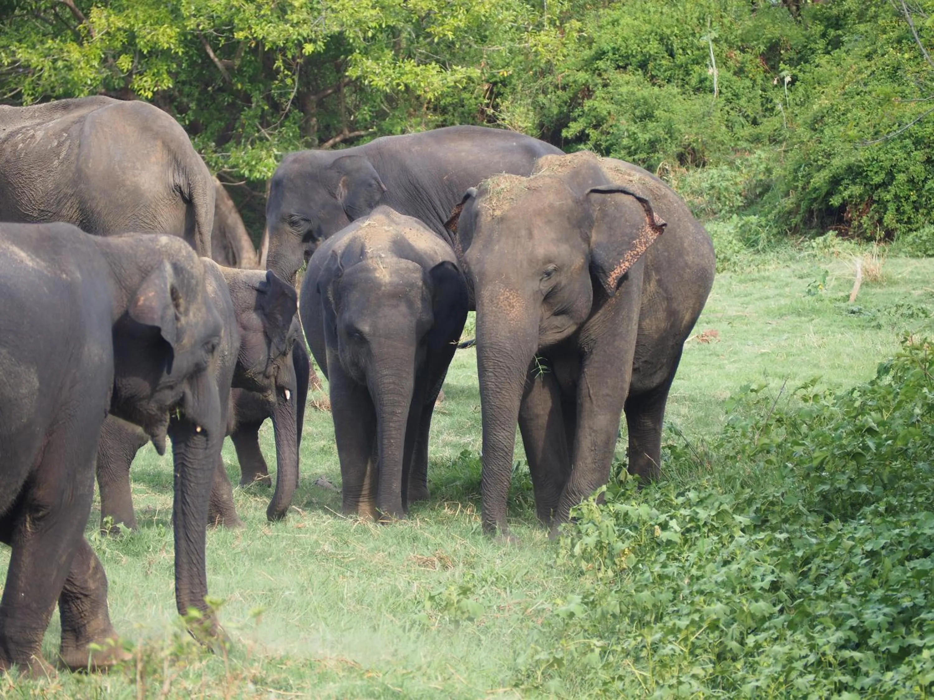 Nearby landmark in The Tasty Tuna Cabana