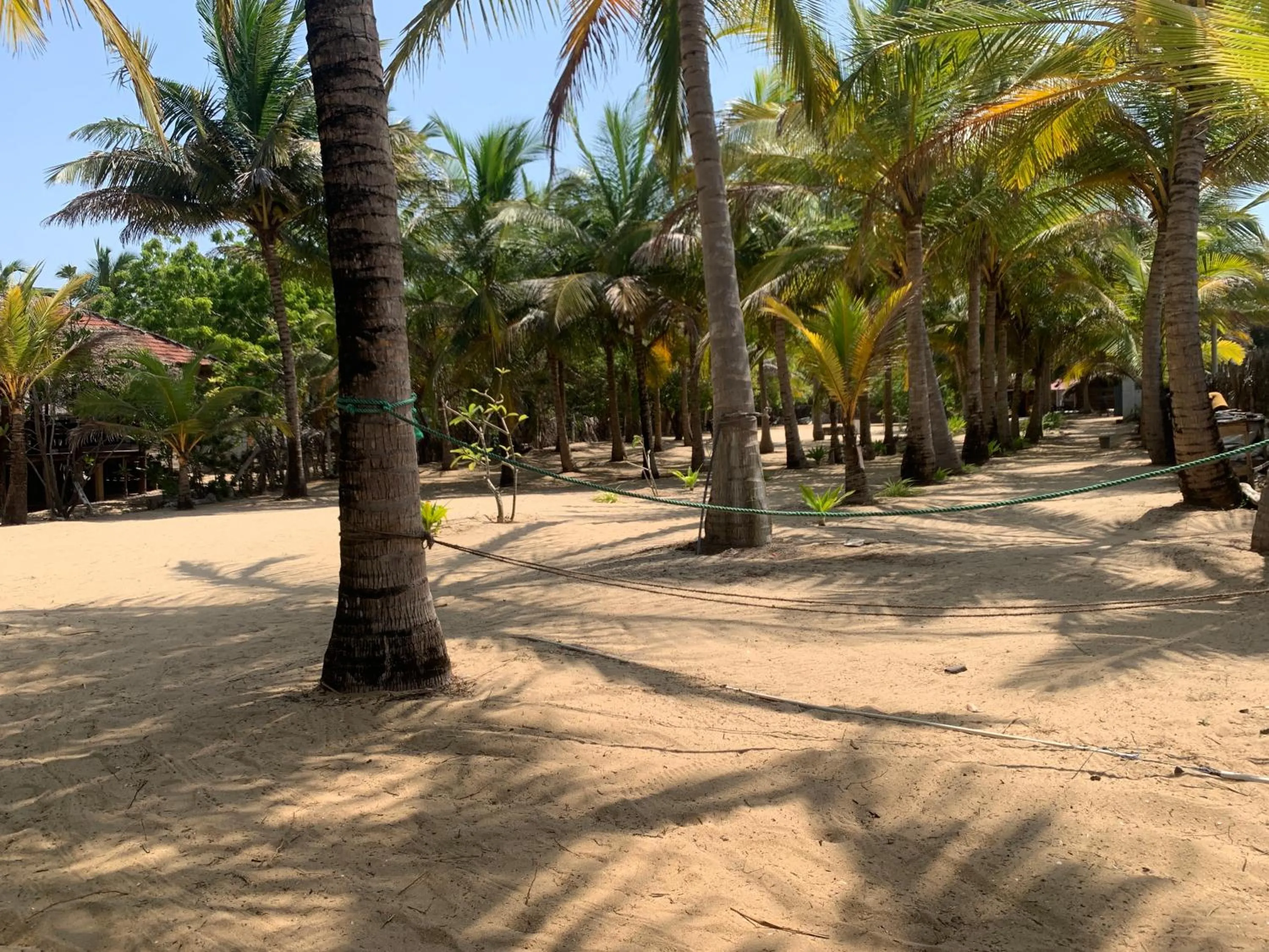 The Tasty Tuna Cabana