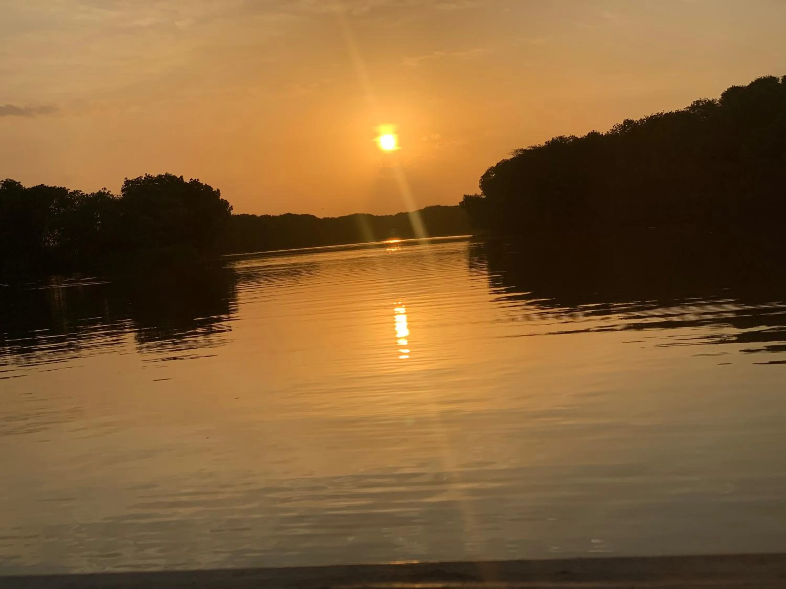 The Tasty Tuna Cabana