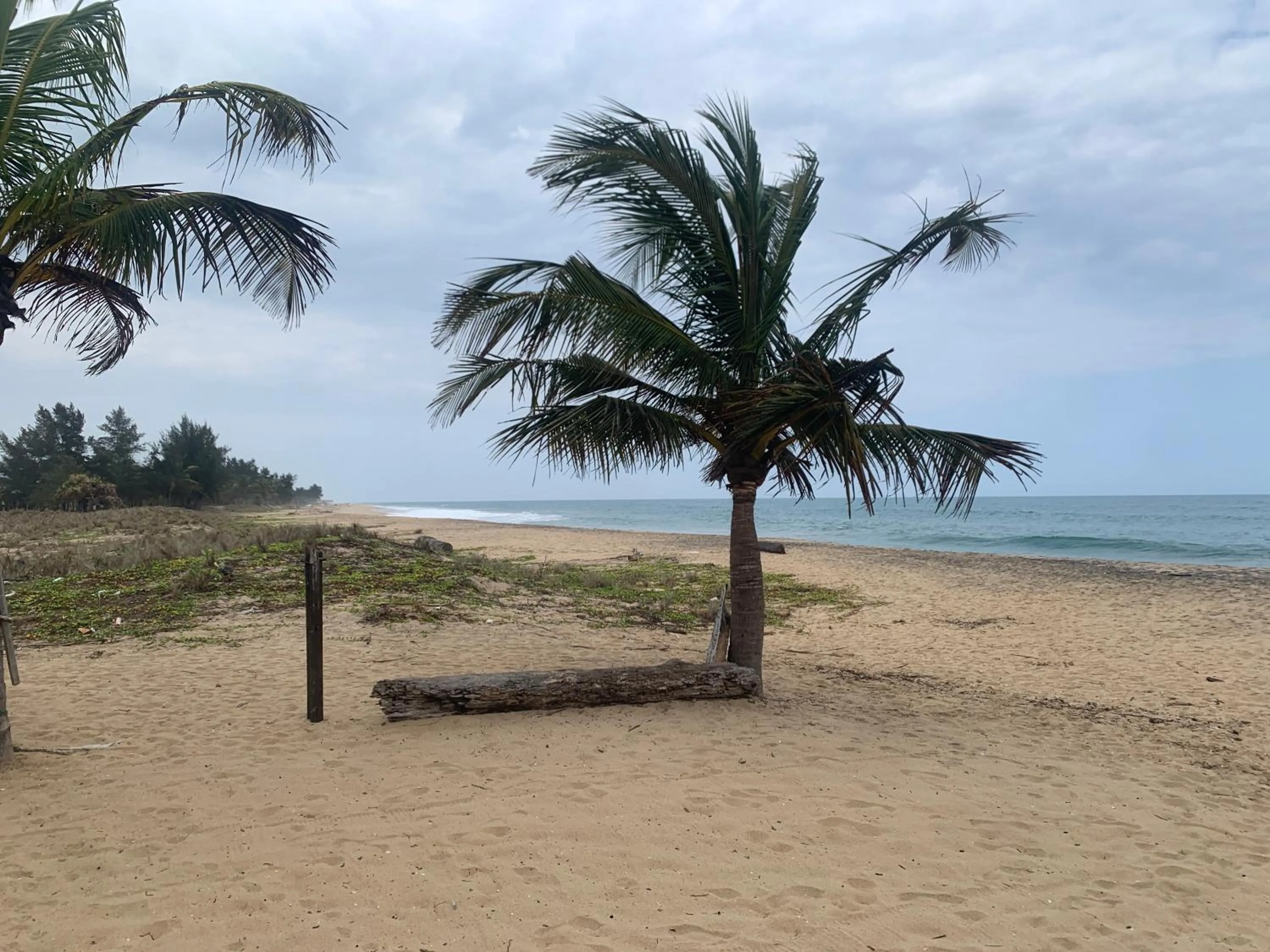 The Tasty Tuna Cabana