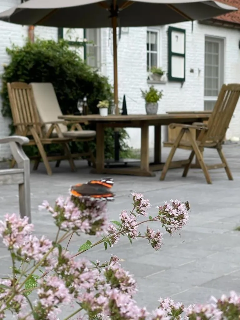 Property building in B&B Domein Rodin