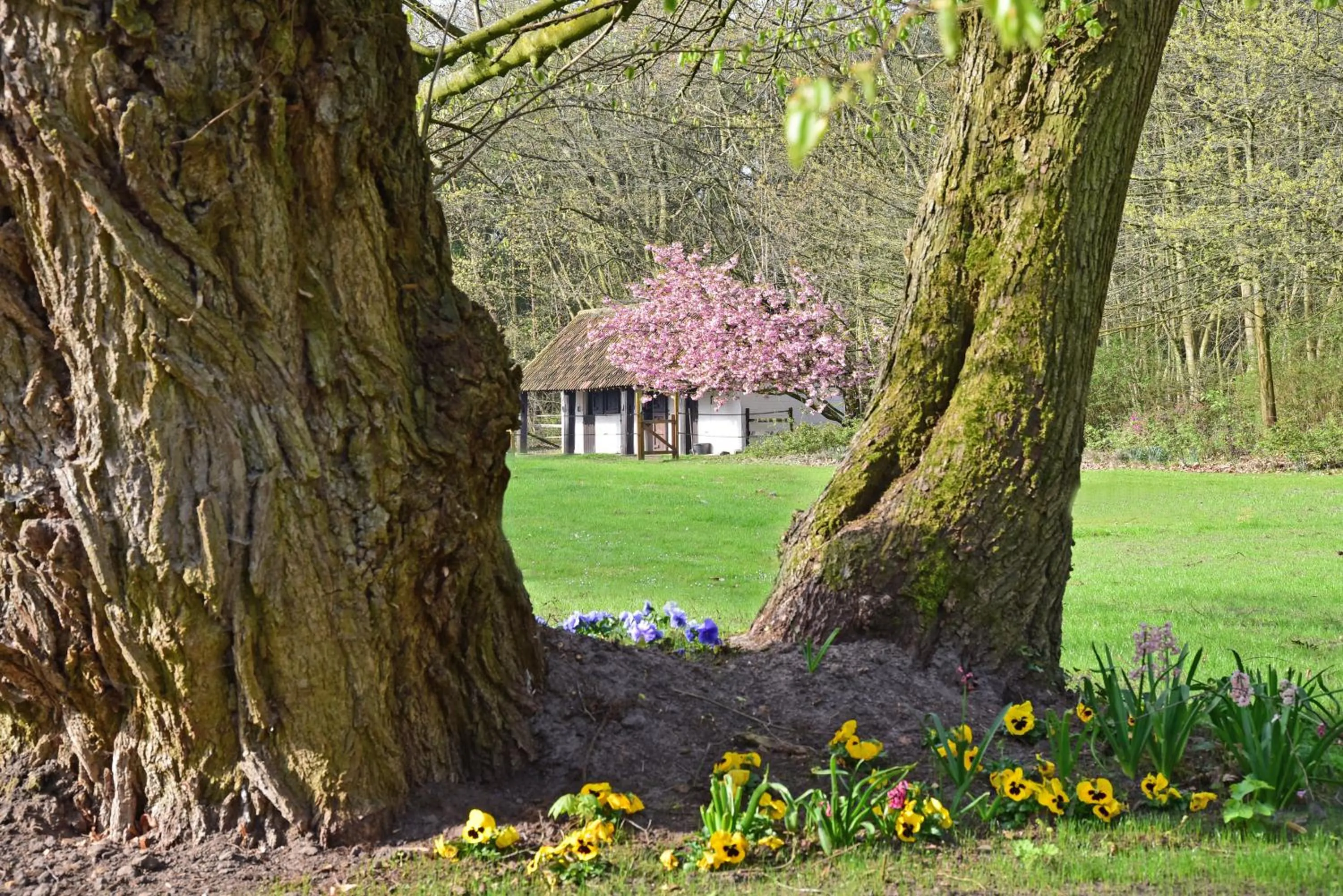Garden in B&B Domein Rodin