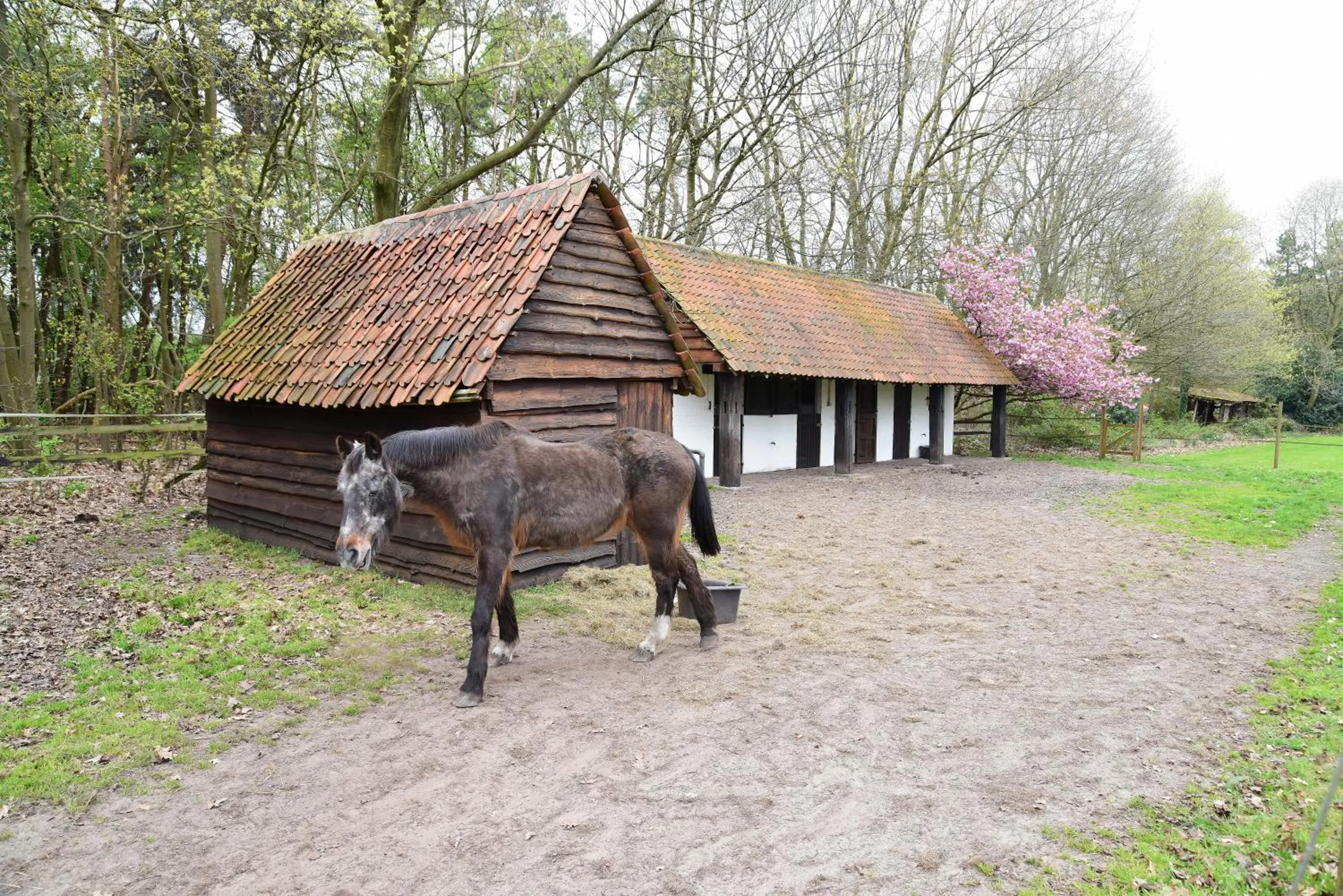 Garden in B&B Domein Rodin