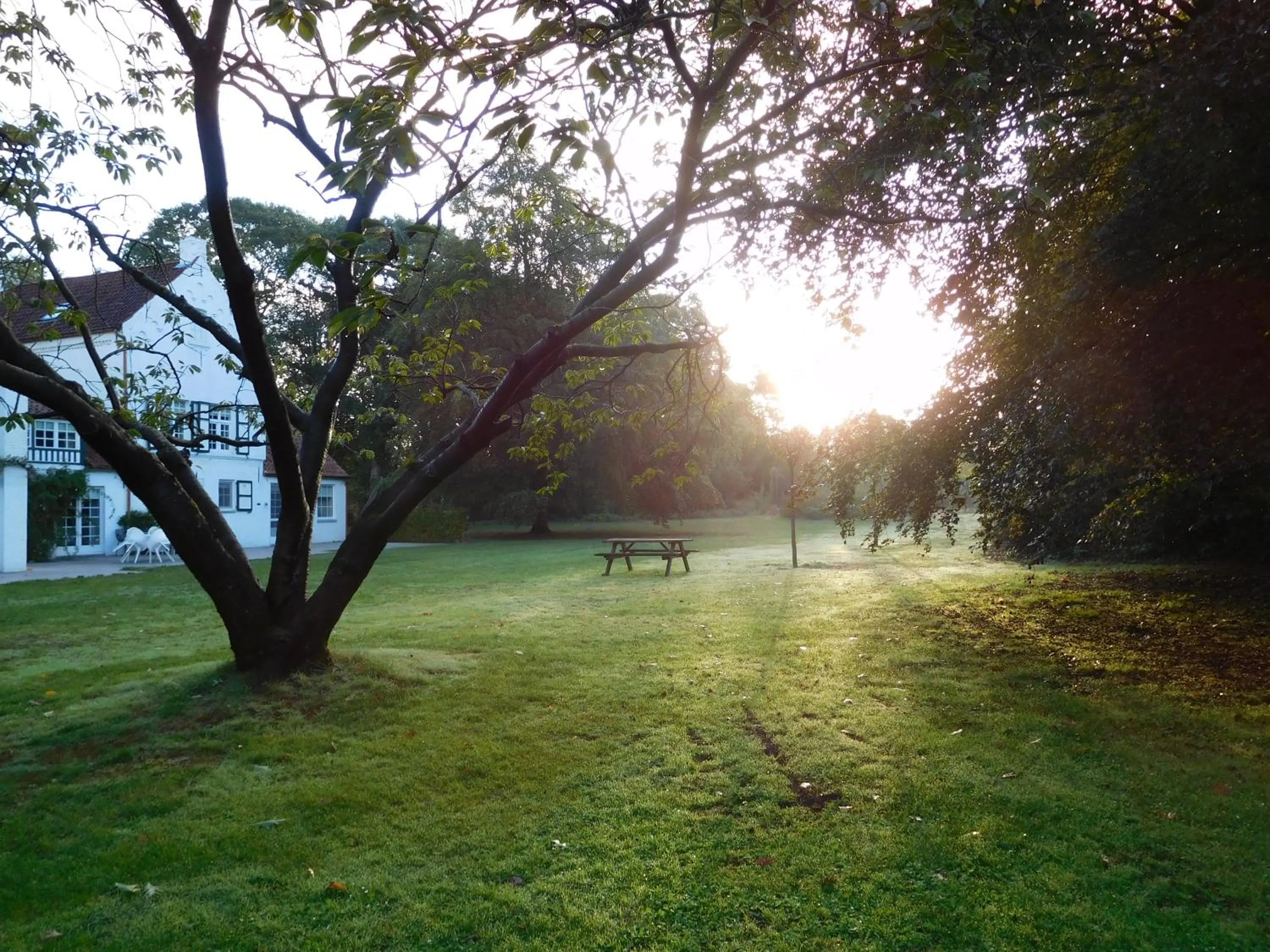 Garden in B&B Domein Rodin
