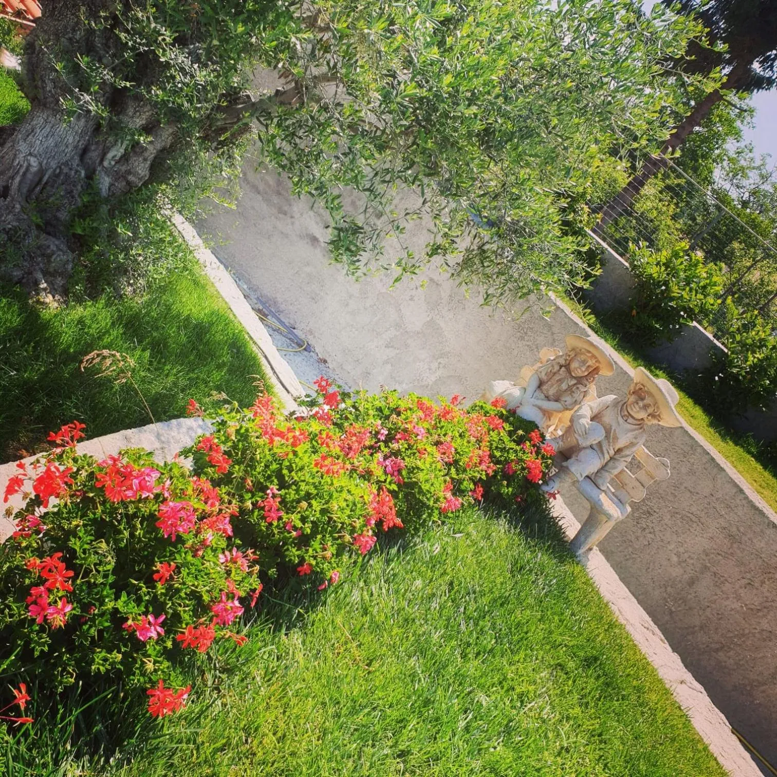 Property building in Alba Magica