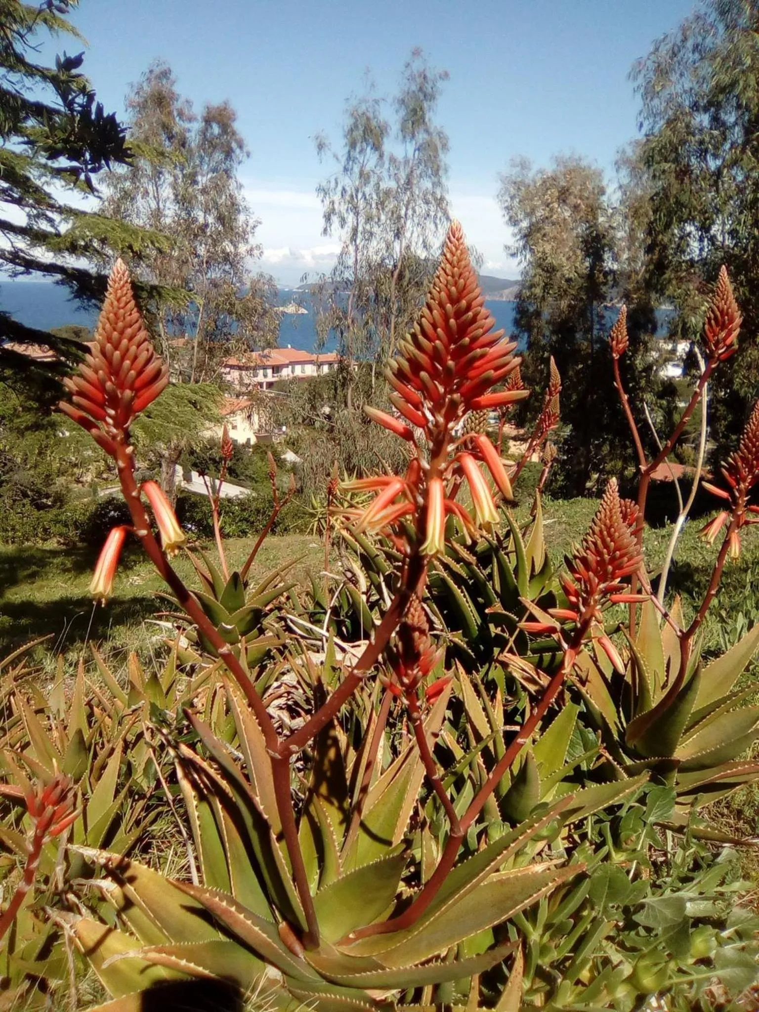 Natural landscape in Sansone
