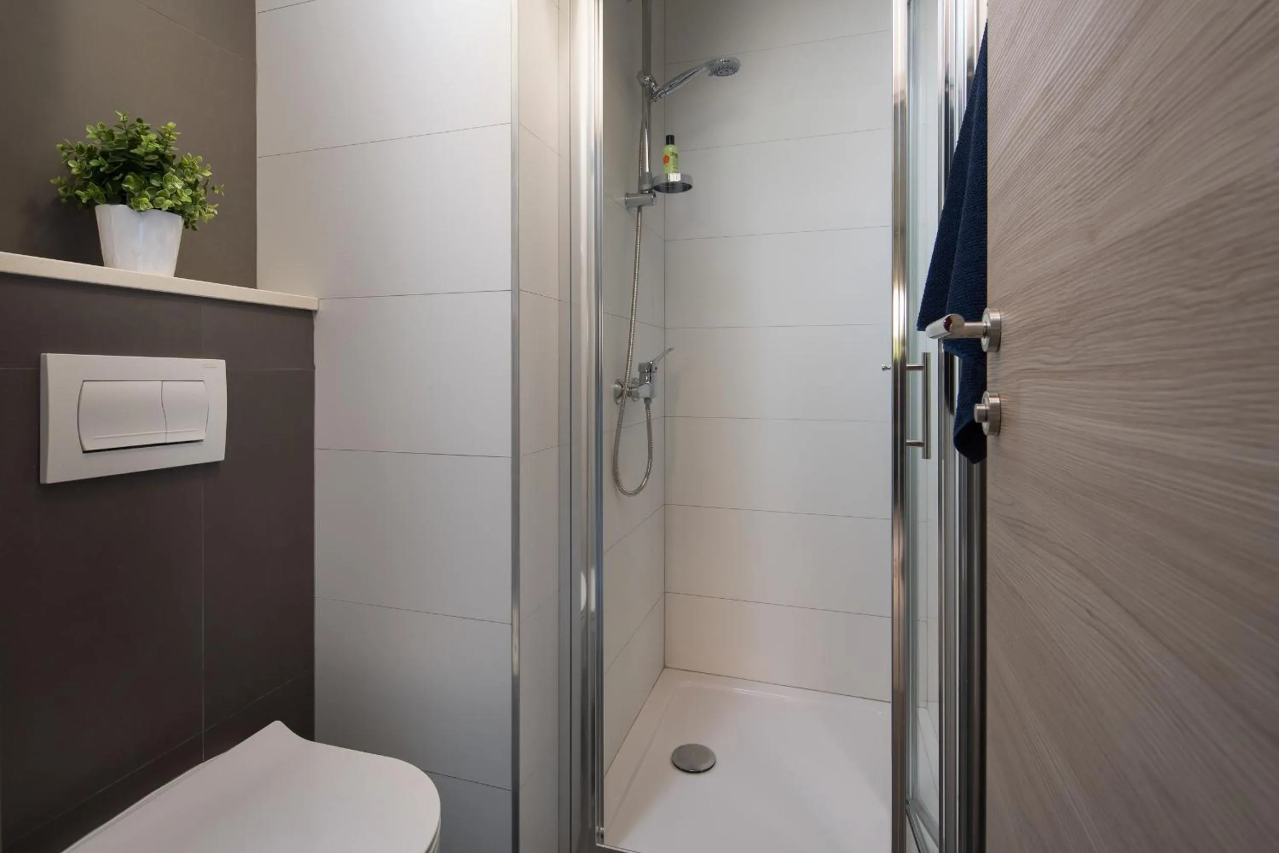 Bathroom in Apartment Zulijani Helis B5