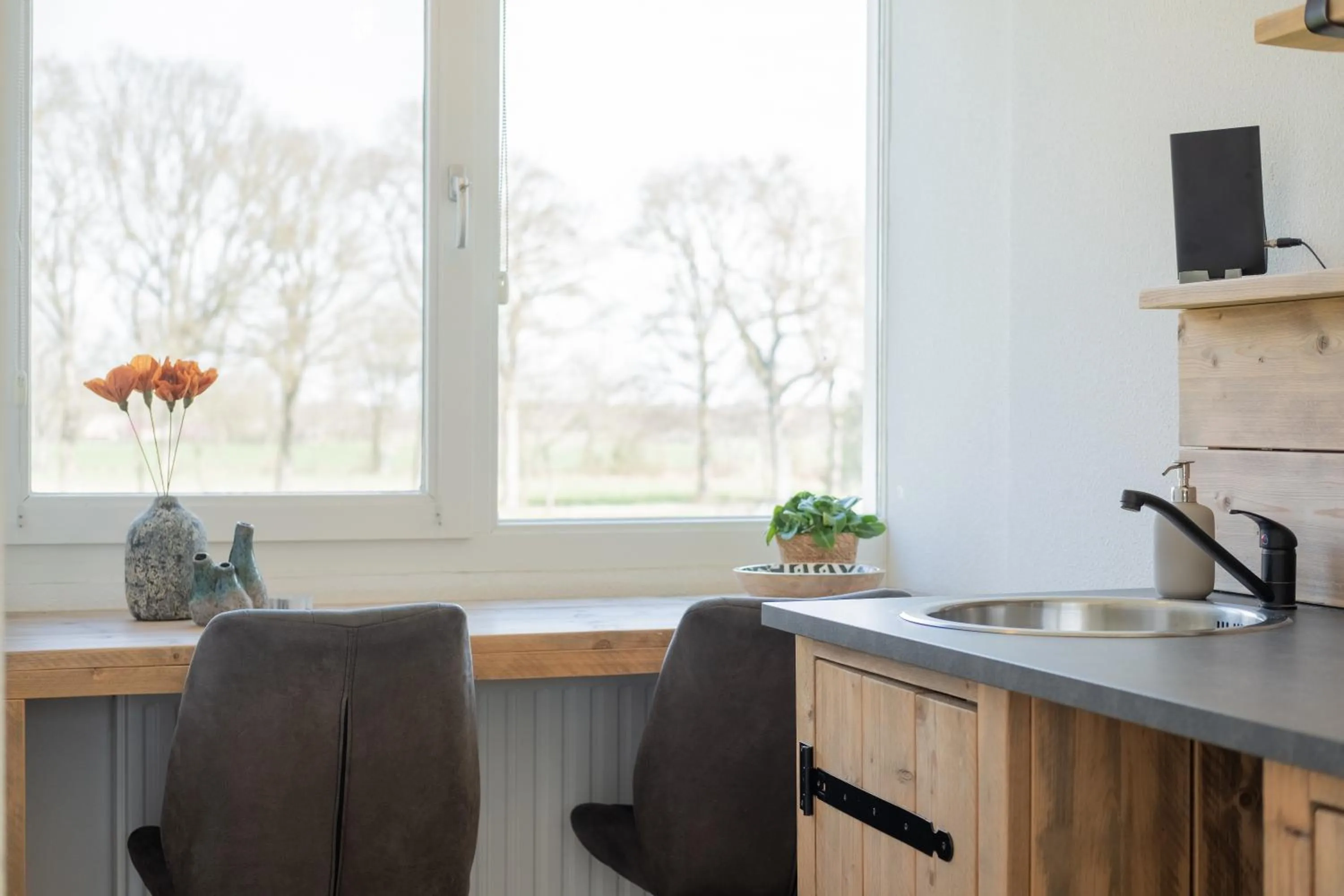 Natural landscape in B&B De Achterdiek