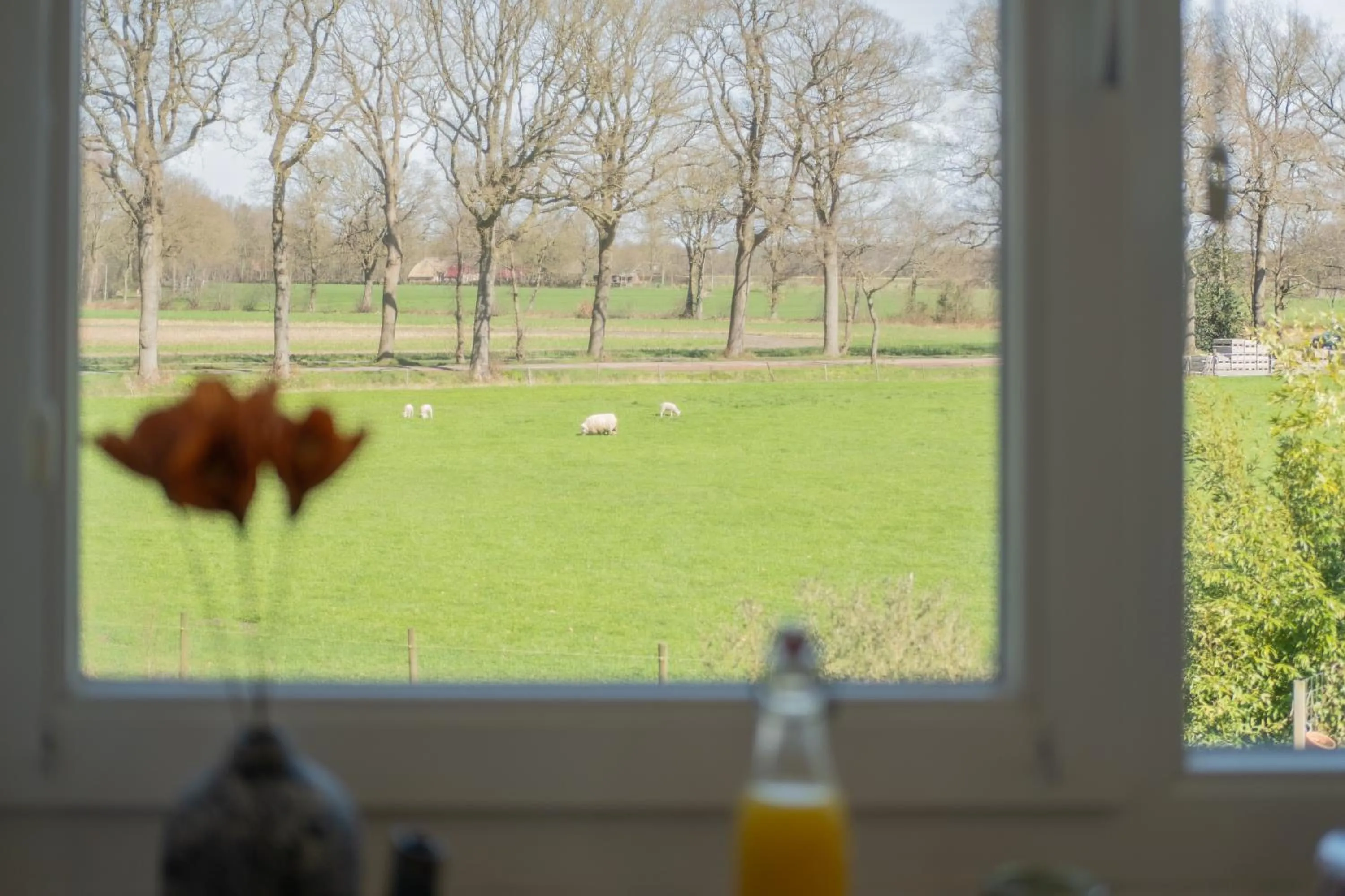 Natural landscape in B&B De Achterdiek