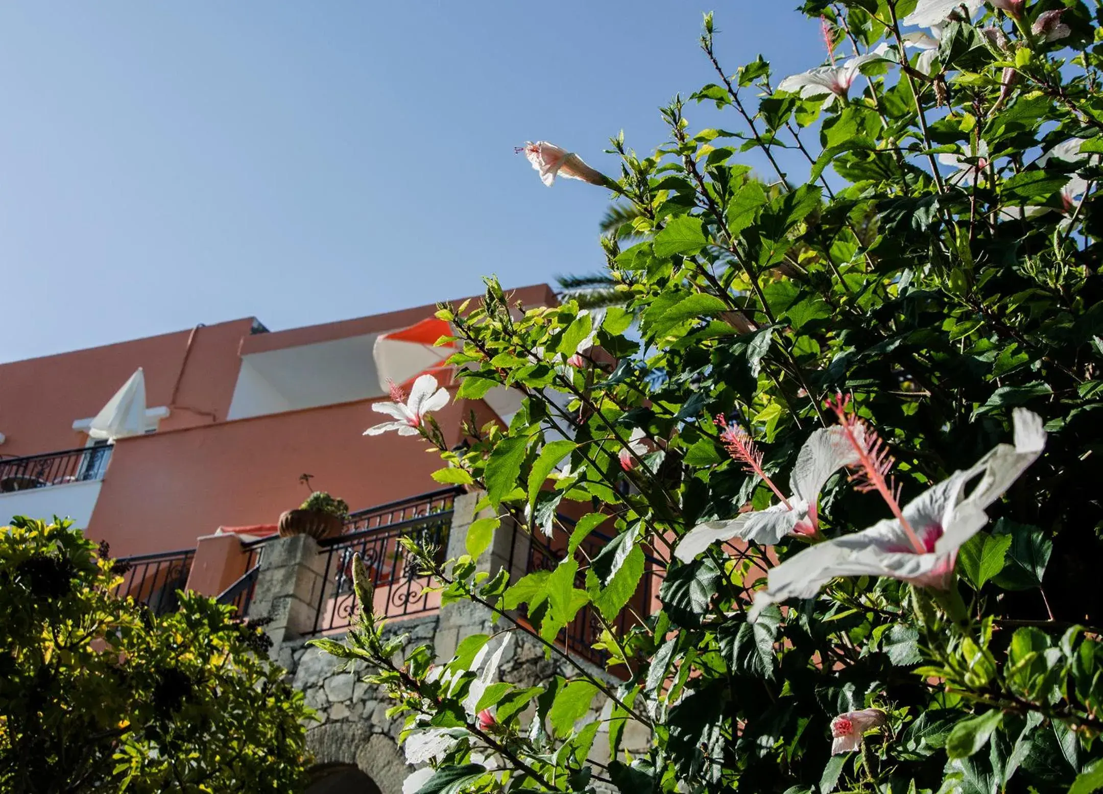 Garden in Alkion Garden in Alkion