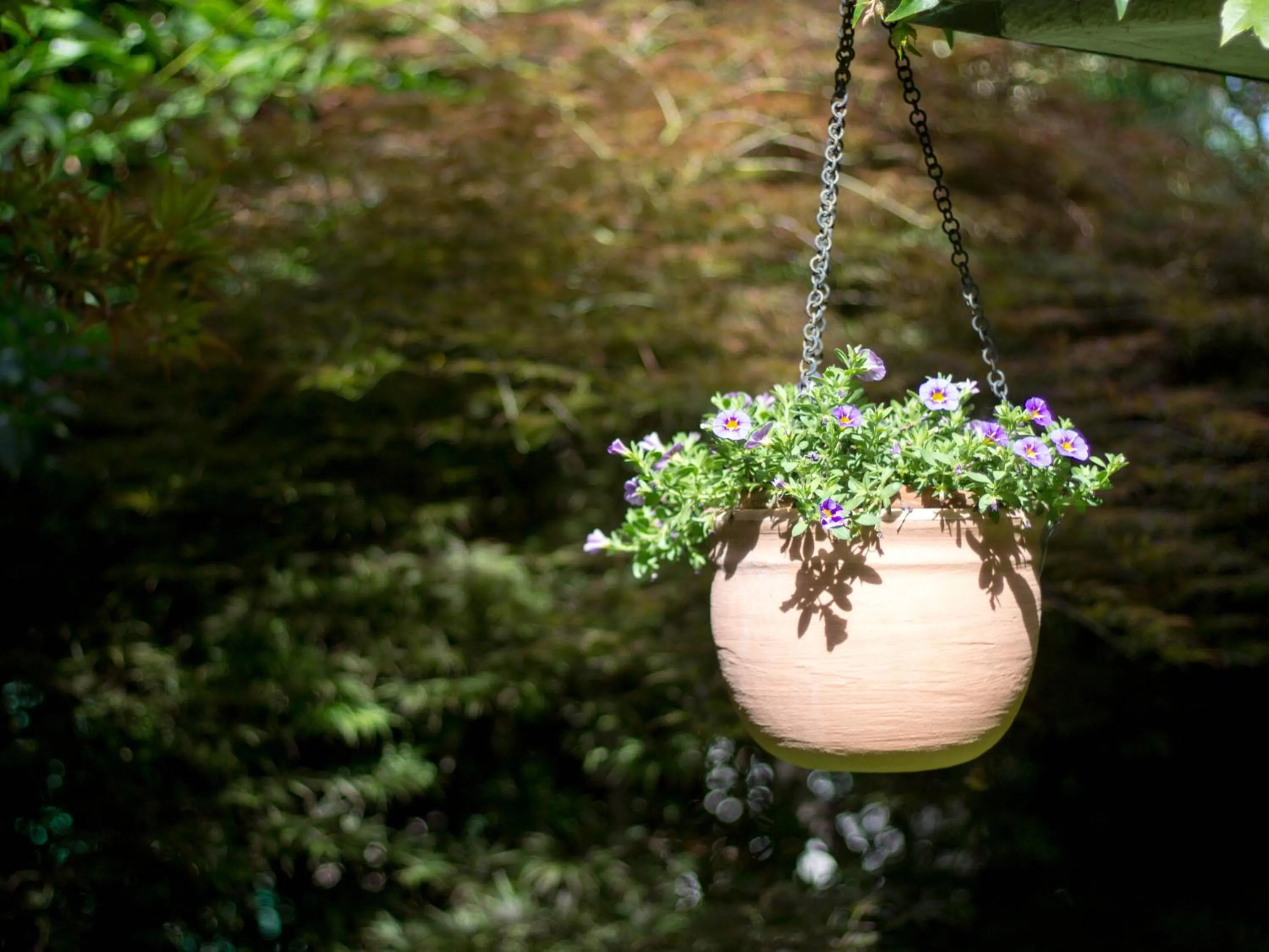 Garden in sopra al FORTE