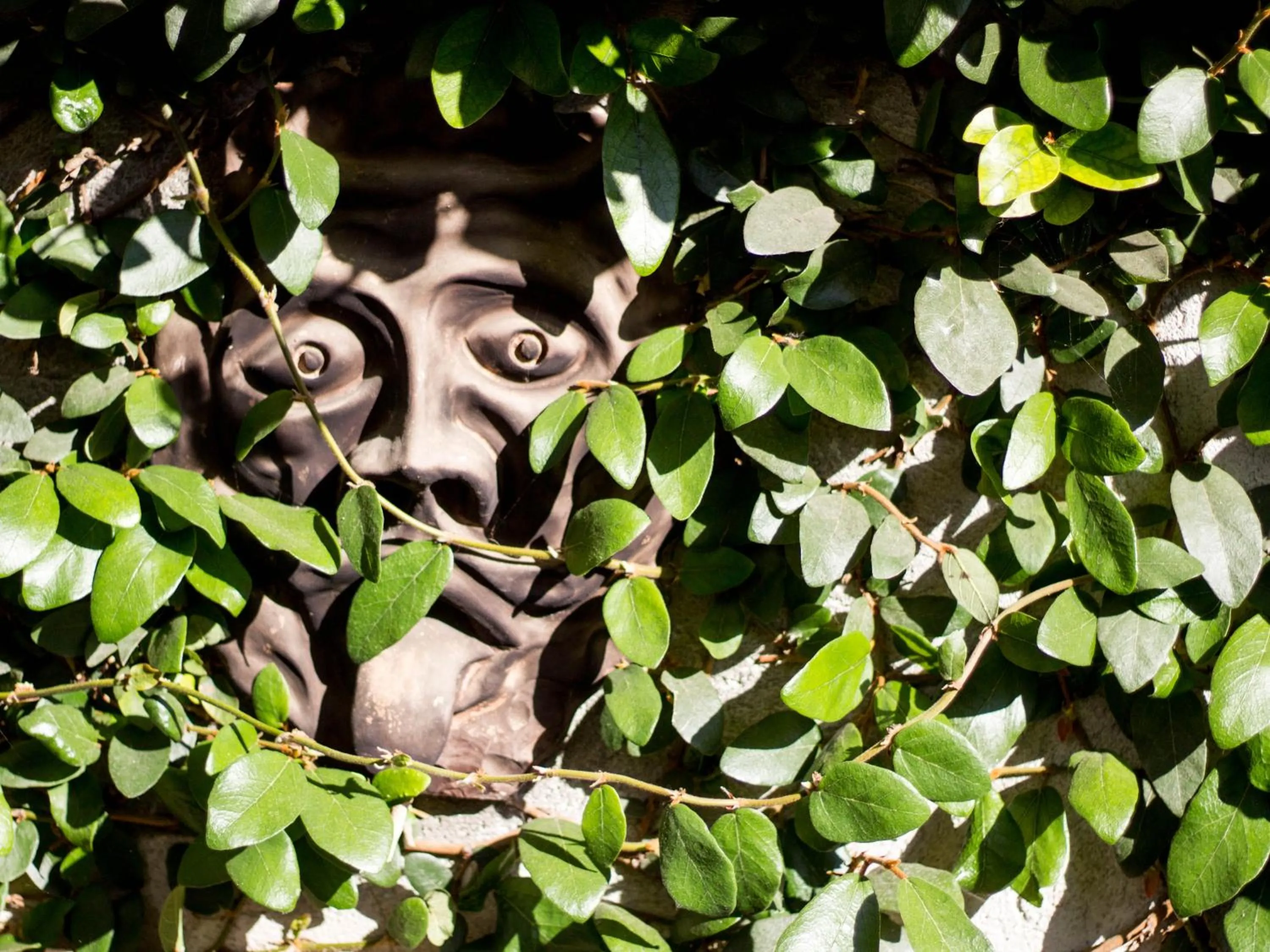 Garden in sopra al FORTE