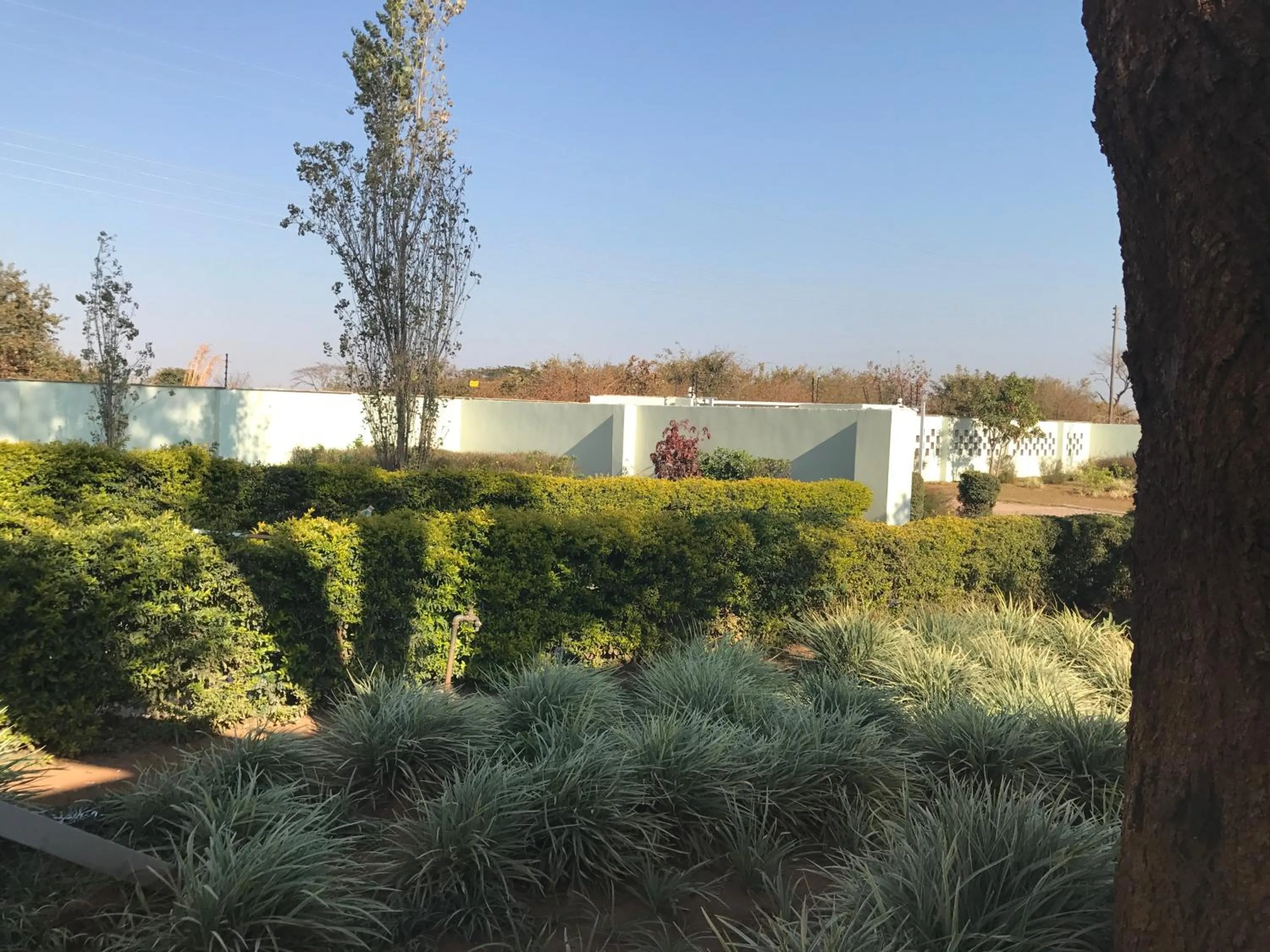 Garden view in Stoneridge Estate