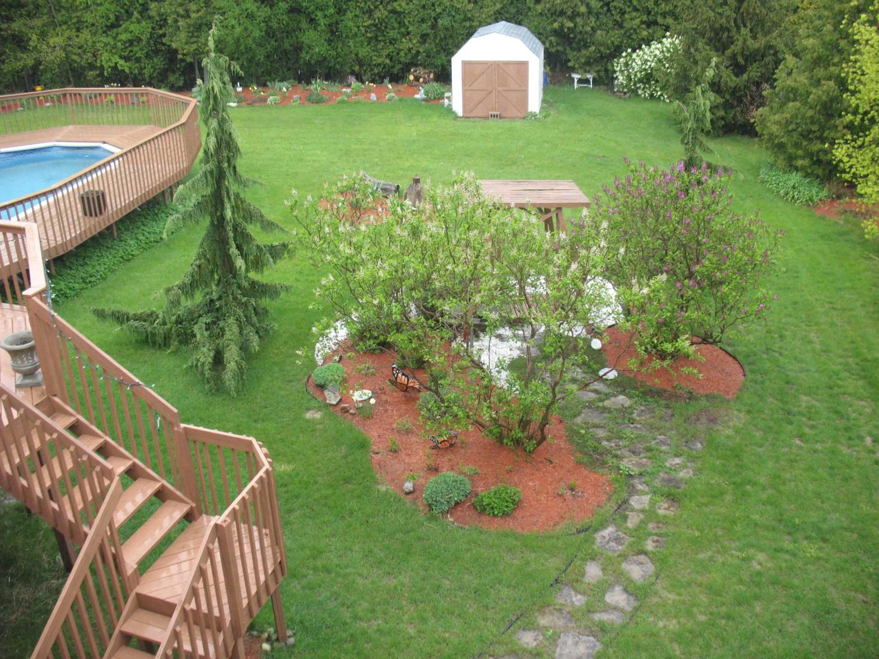 Garden in Molly's Retreat B and B