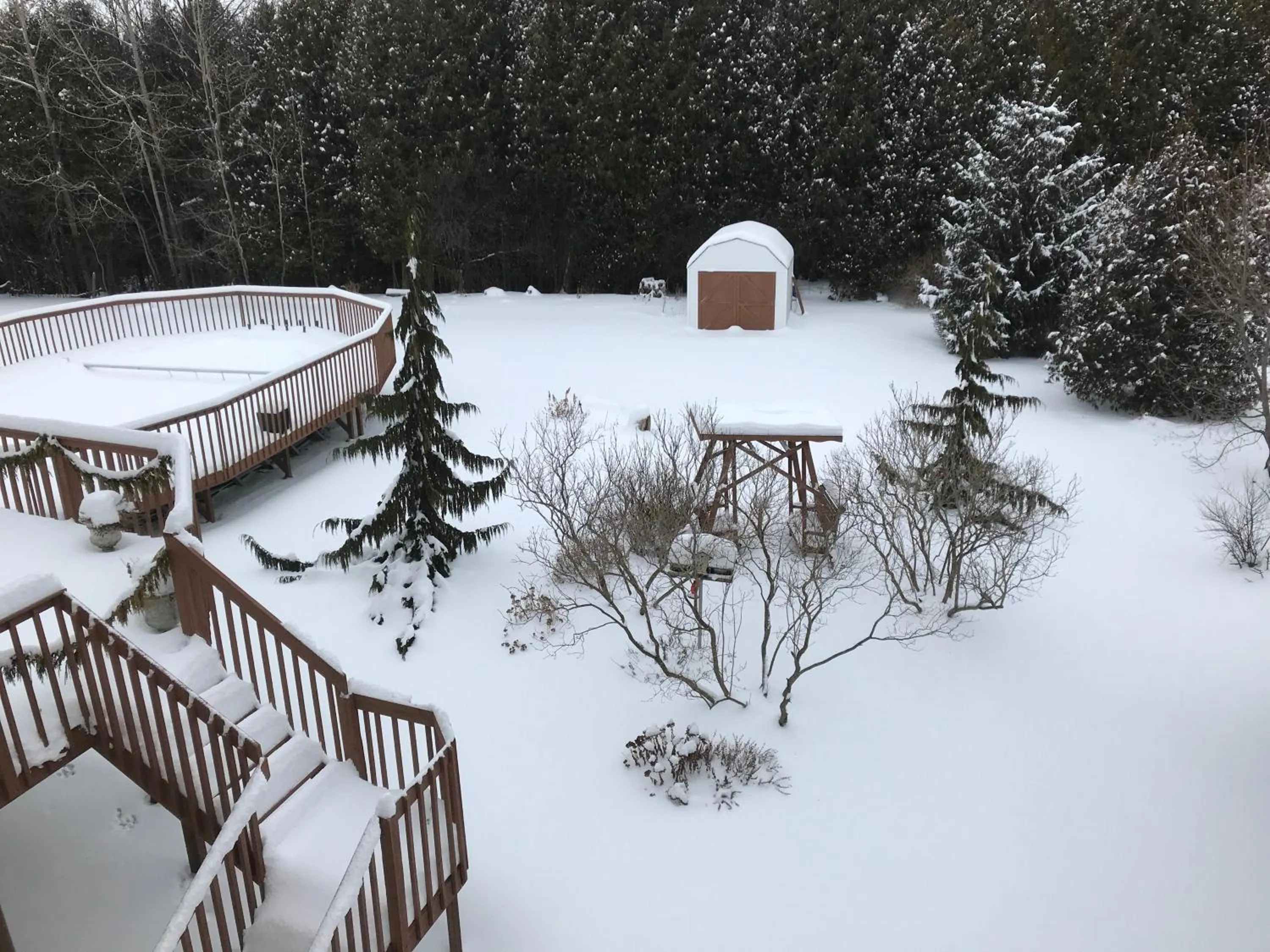 Garden view in Molly's Retreat B and B