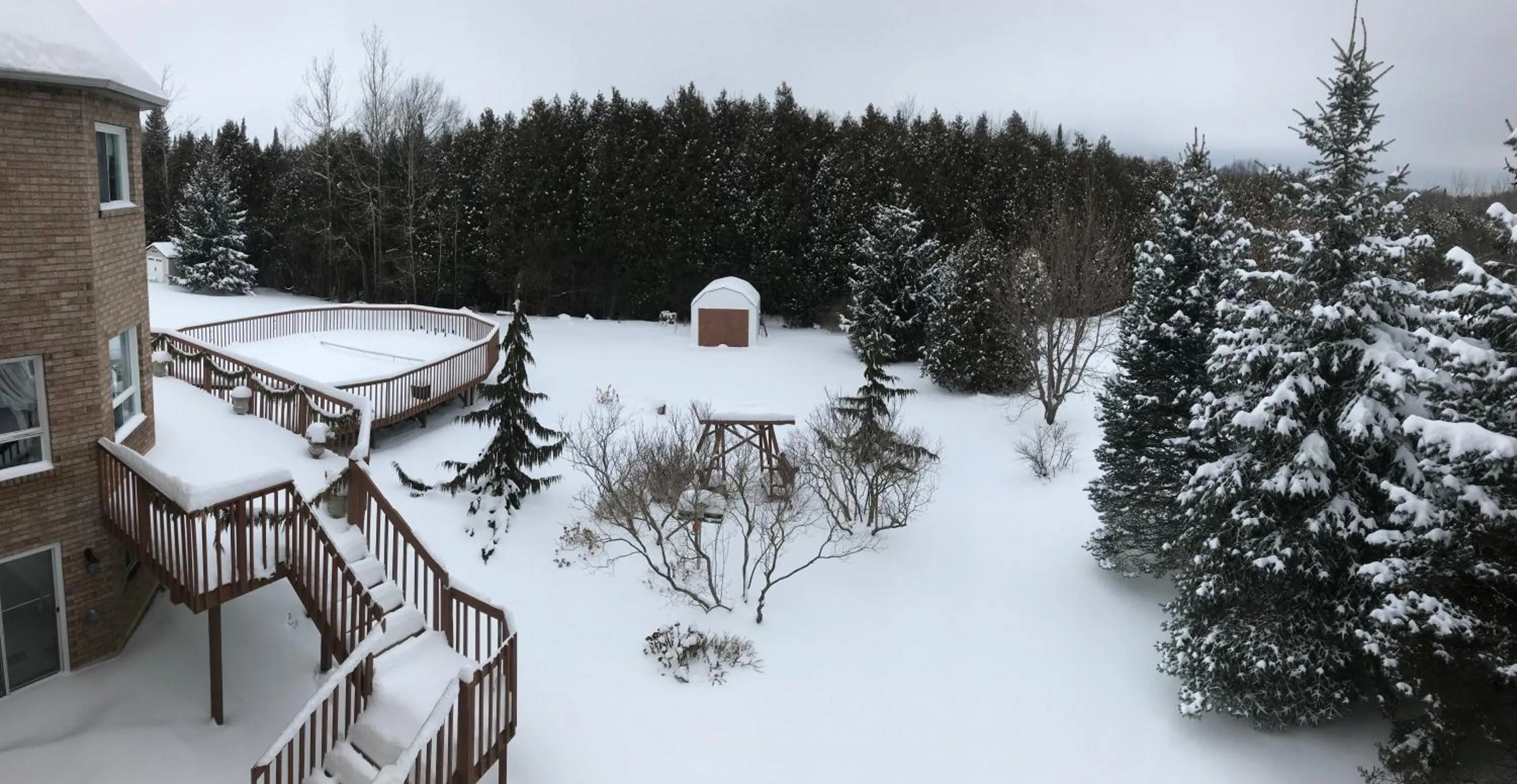 Garden in Molly's Retreat B and B