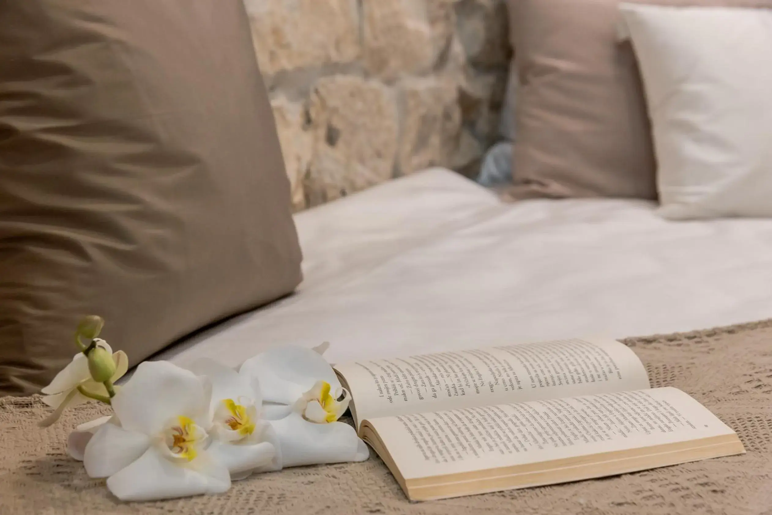 Single Room in Jupiter Lux Rooms Single Room in Jupiter Lux Rooms