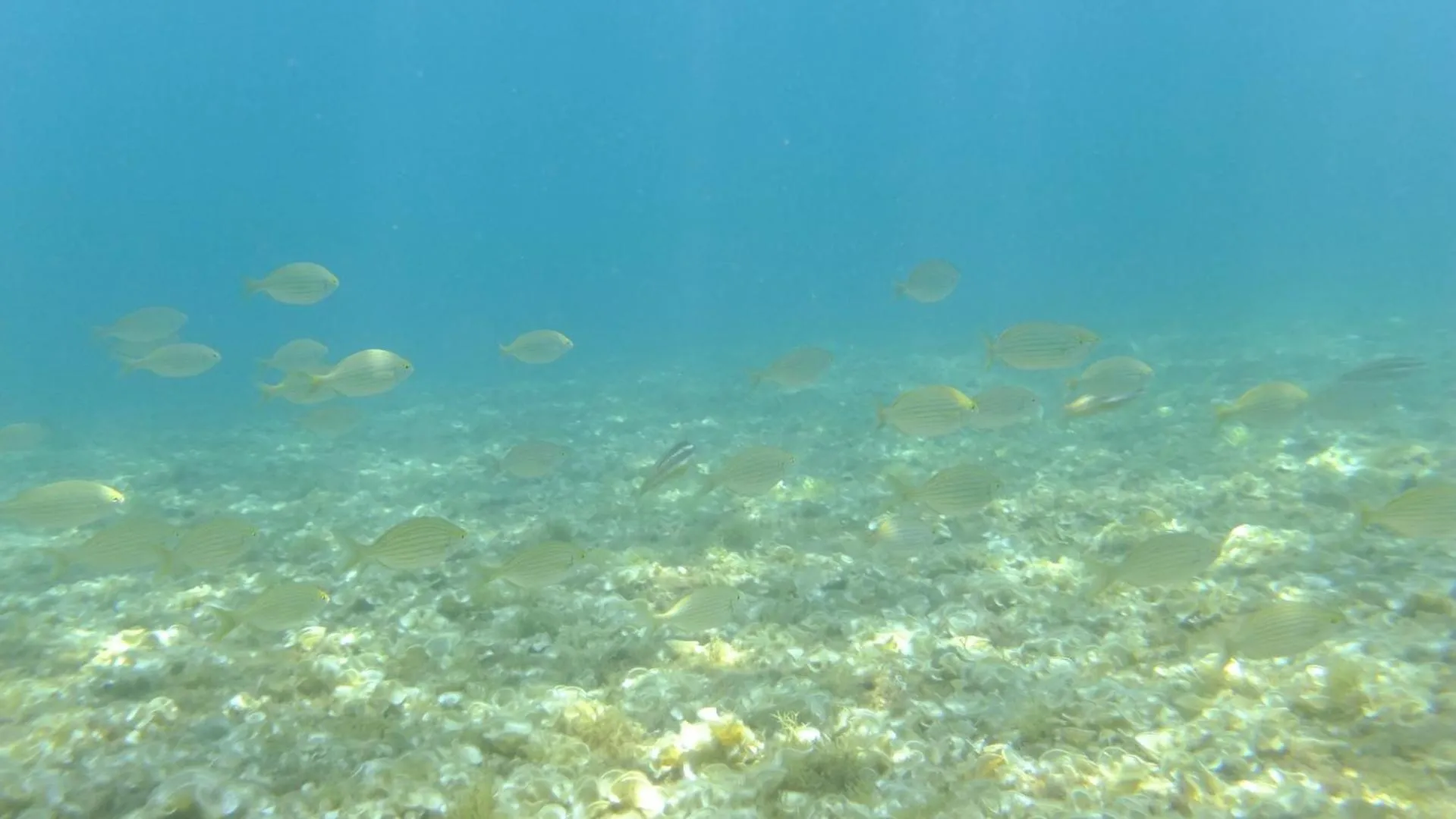 Natural landscape in Apartamento Nautilus Beach