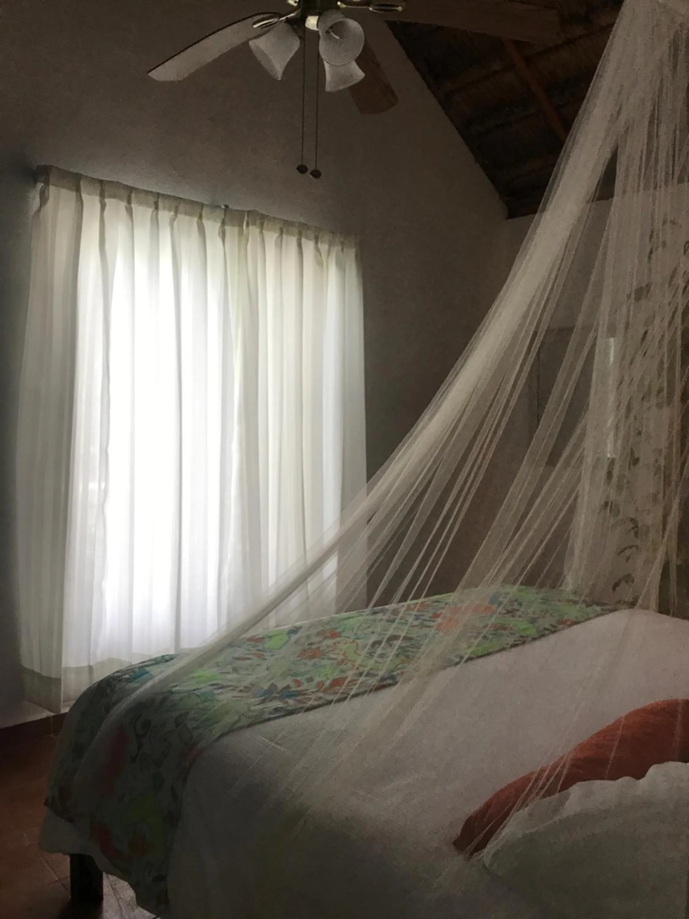 Photo of the whole room, Bed in Ecovergel Hotel Riviera Maya