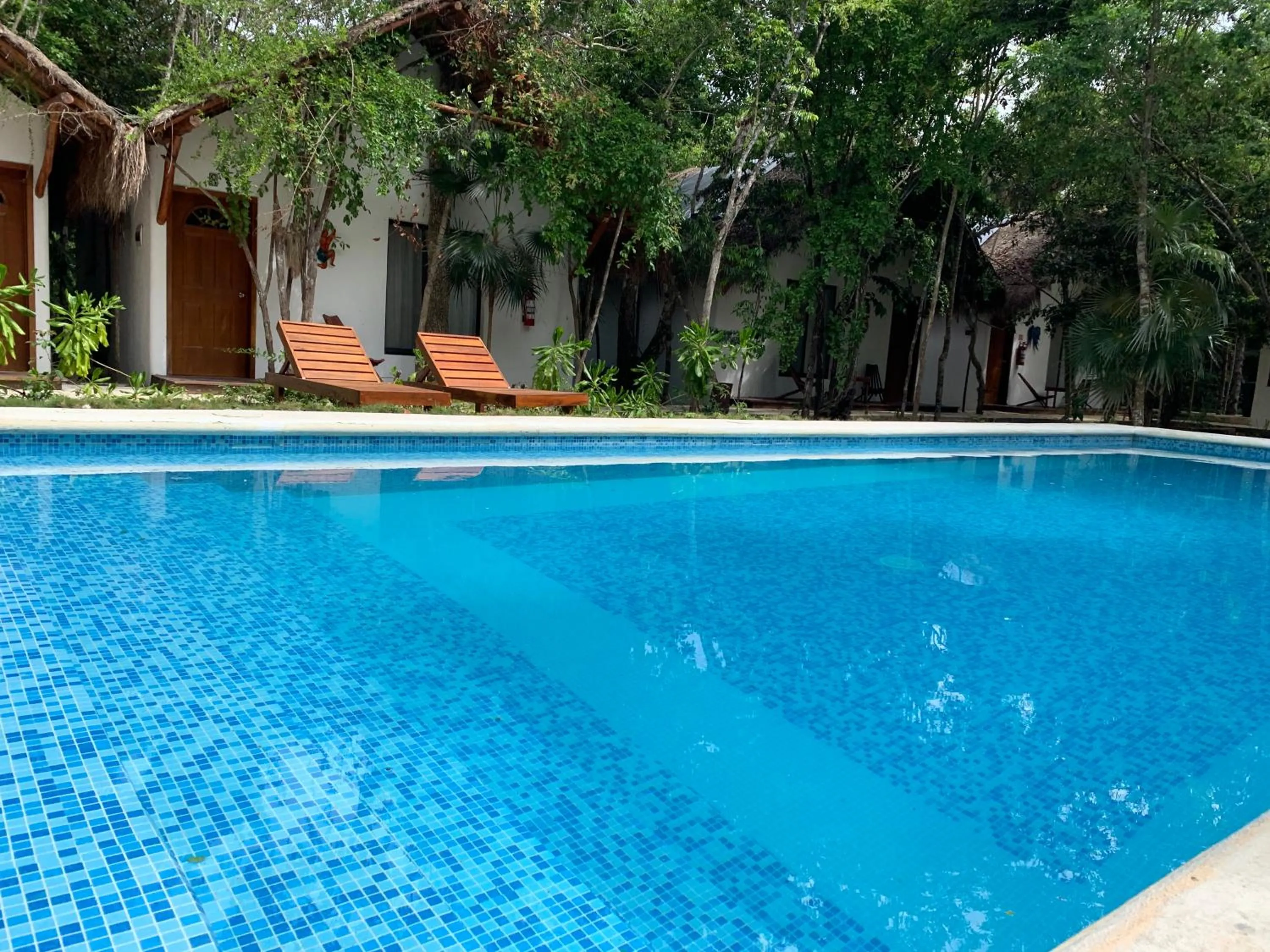 Swimming pool in Ecovergel Hotel Riviera Maya