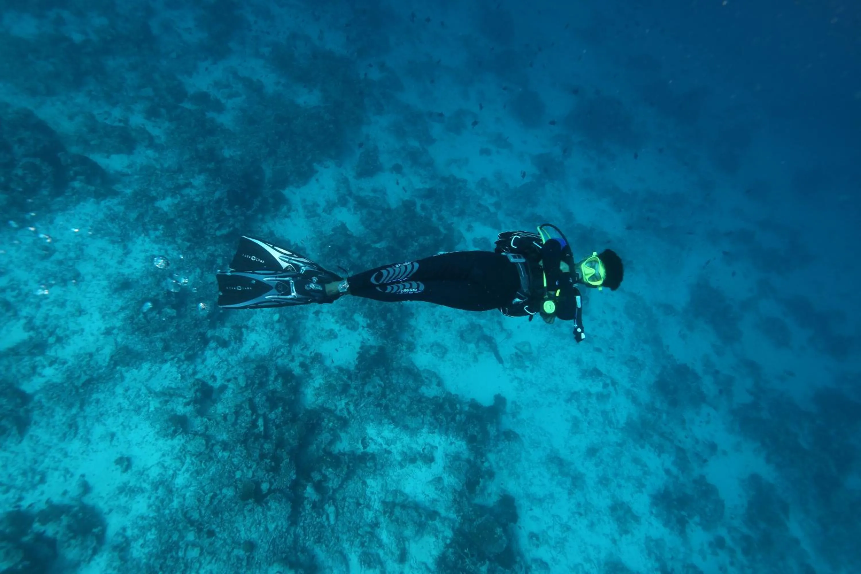 Scuba Inn